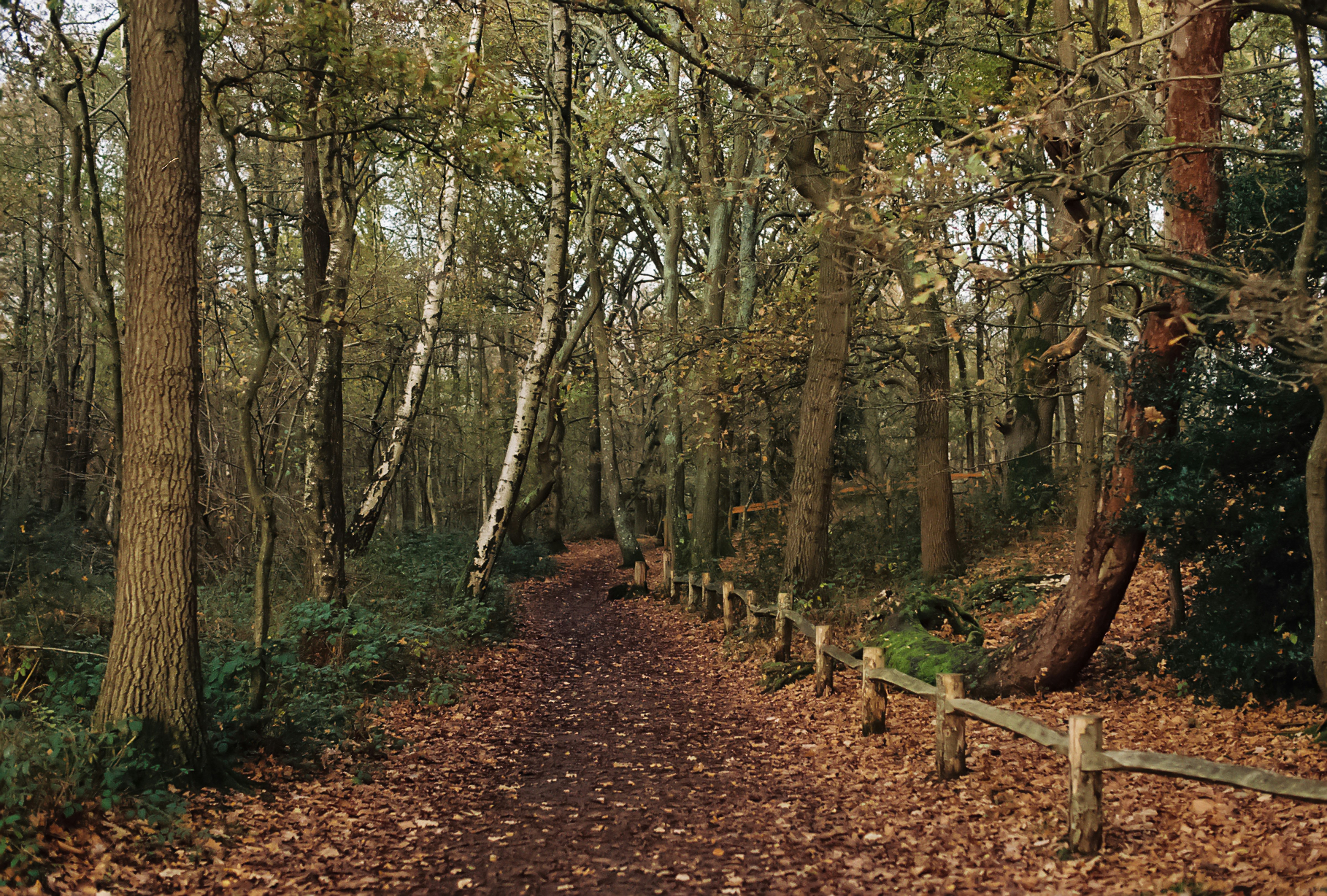 Photo by tanyabarrow