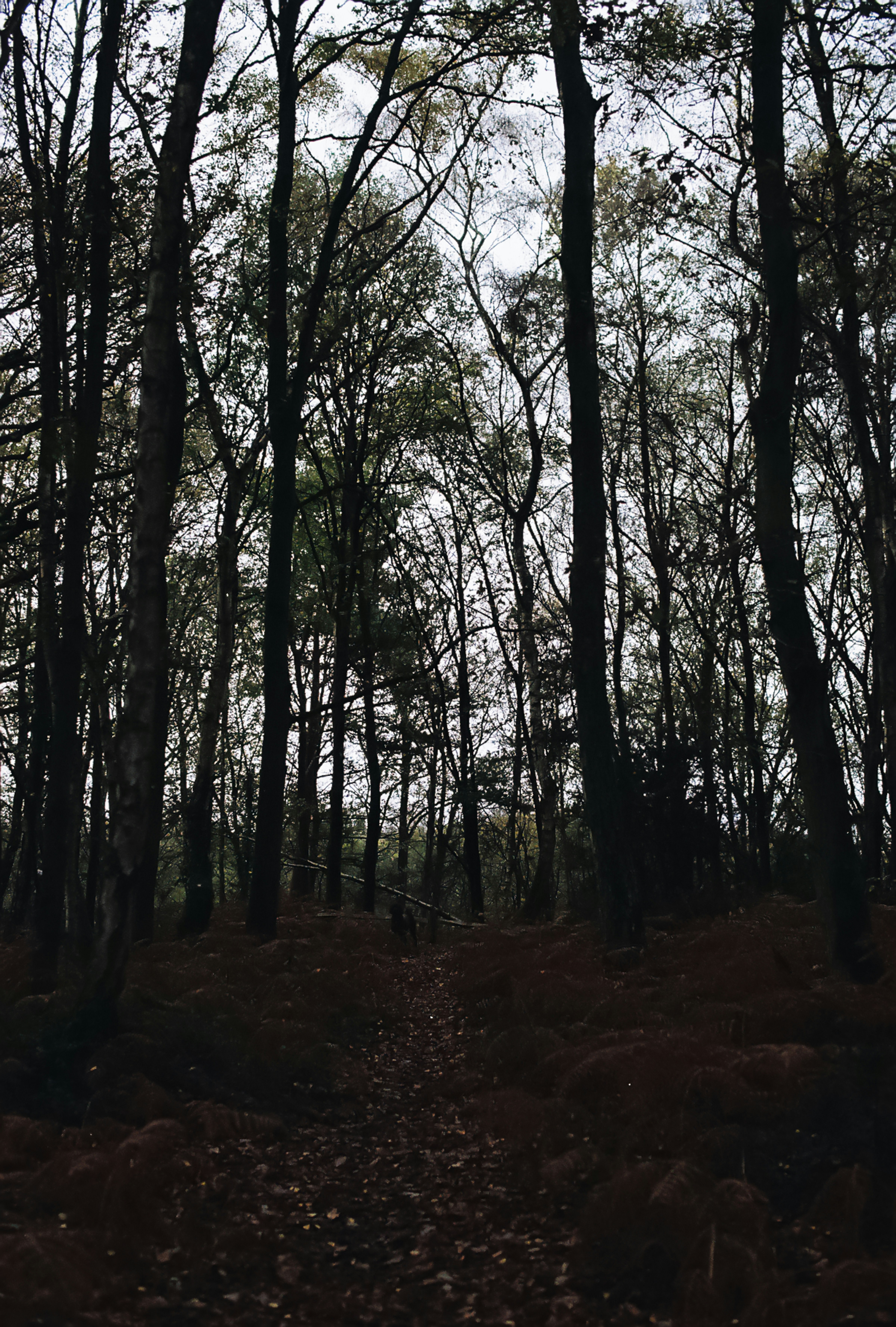 Photo by tanyabarrow