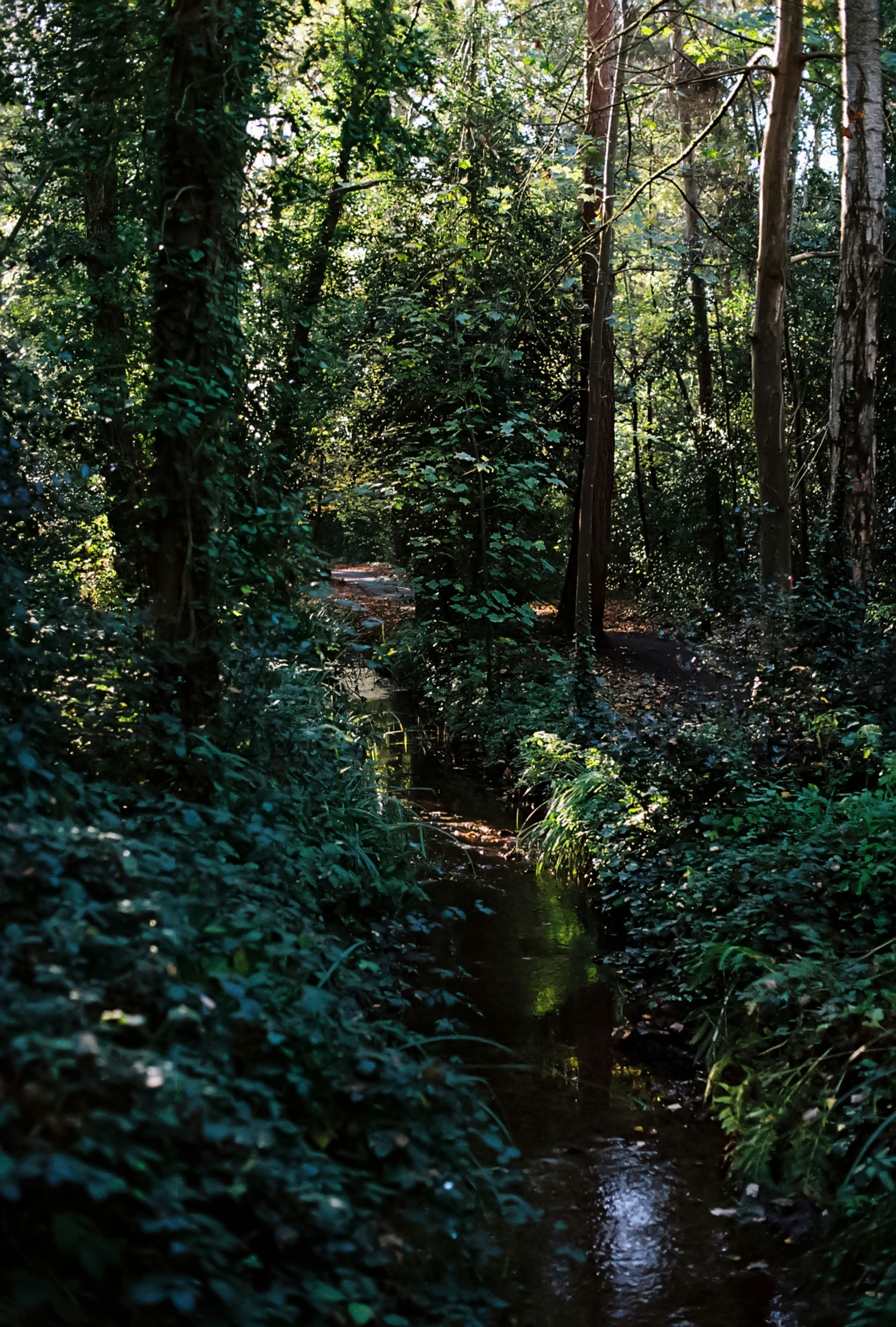 Photo by tanyabarrow