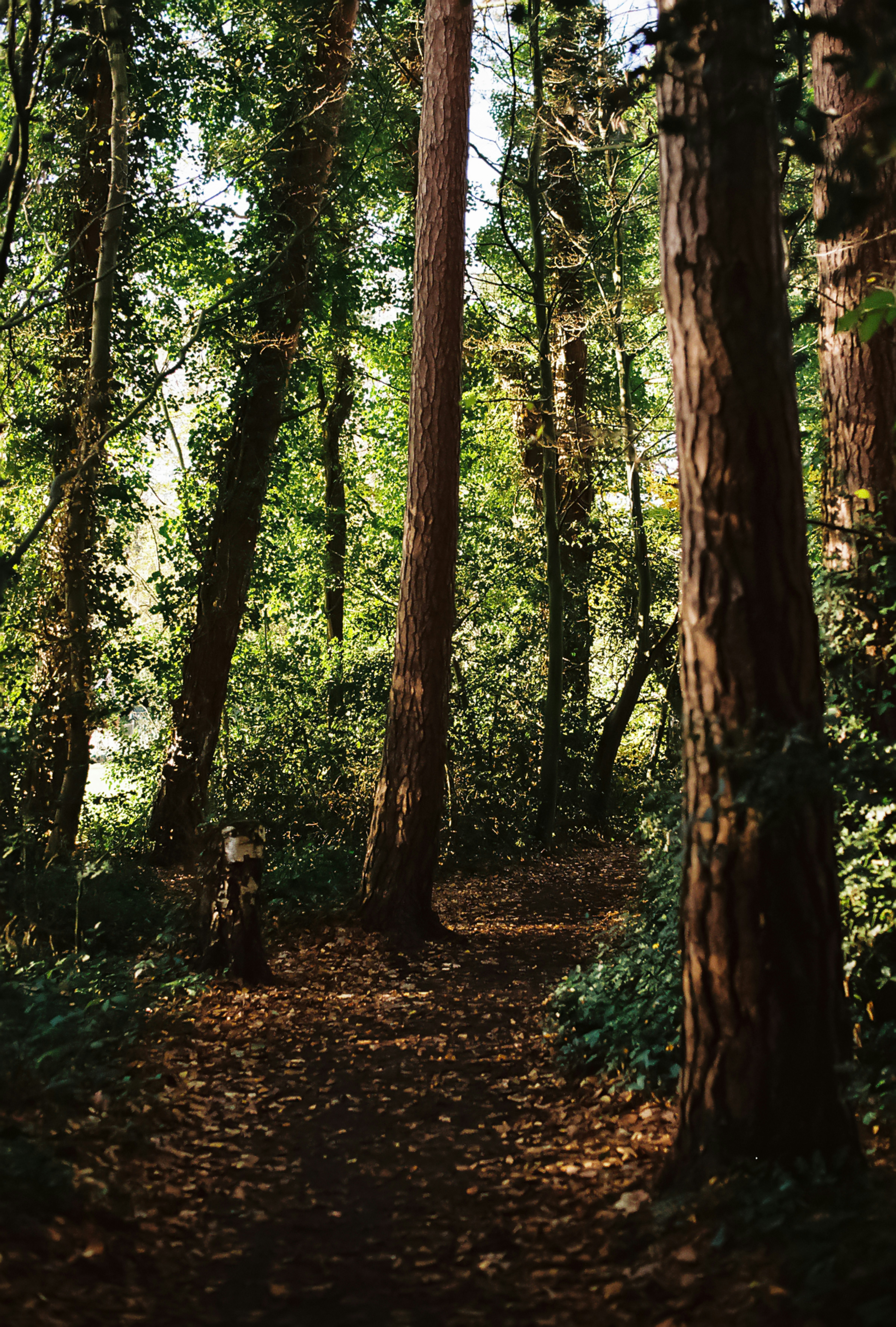 Photo by tanyabarrow