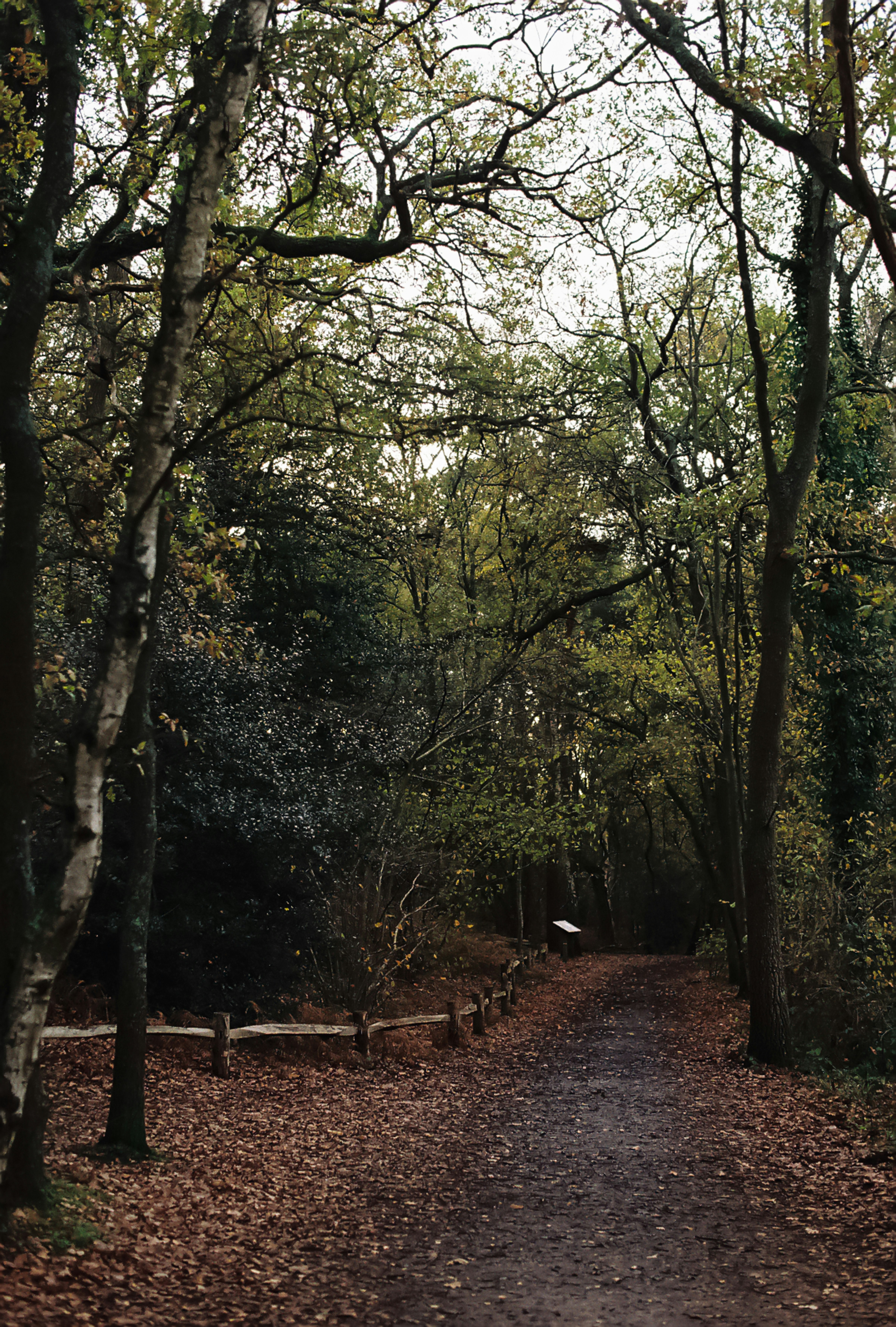 Photo by tanyabarrow