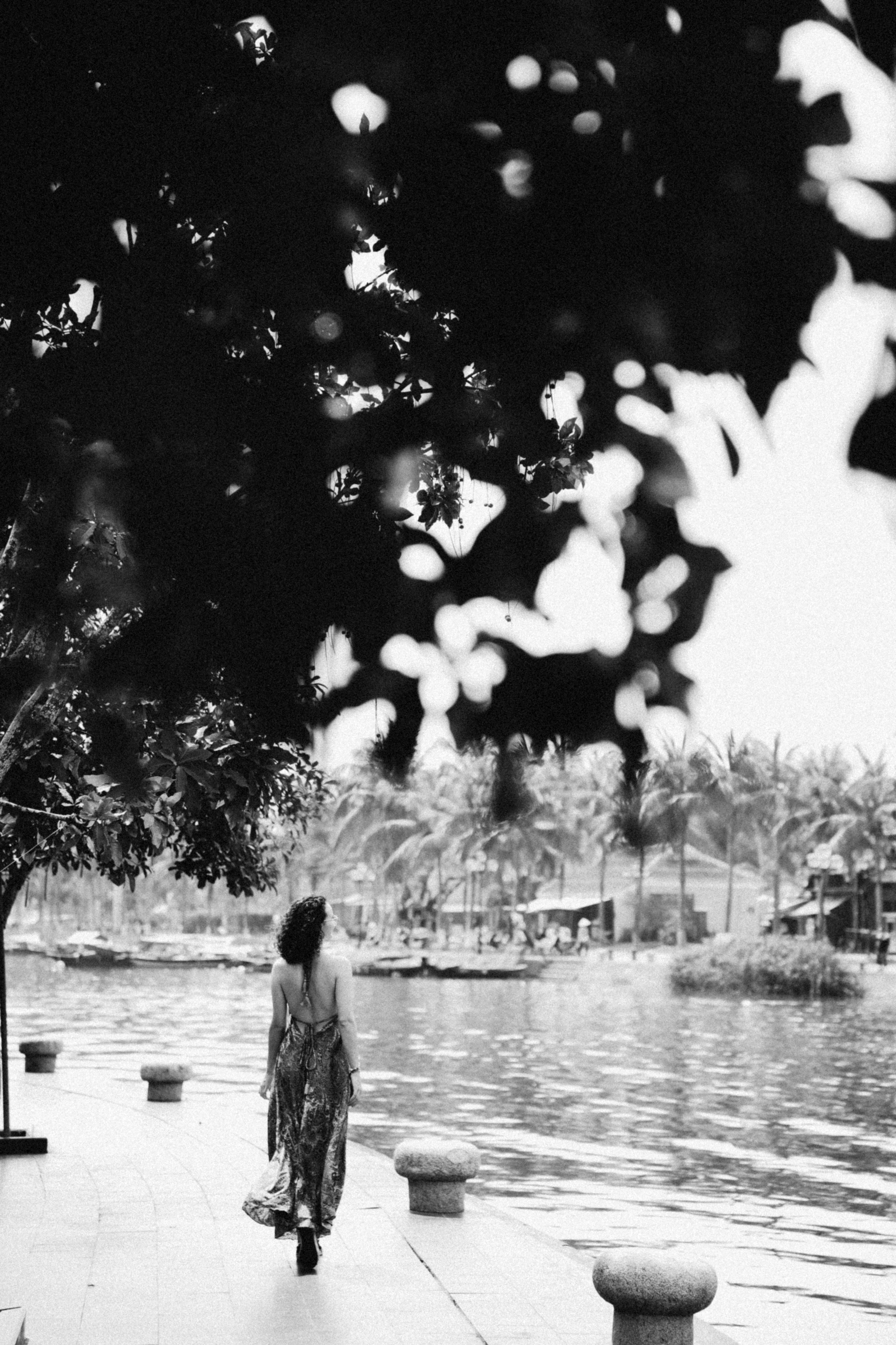 Photo by hoianphotographer