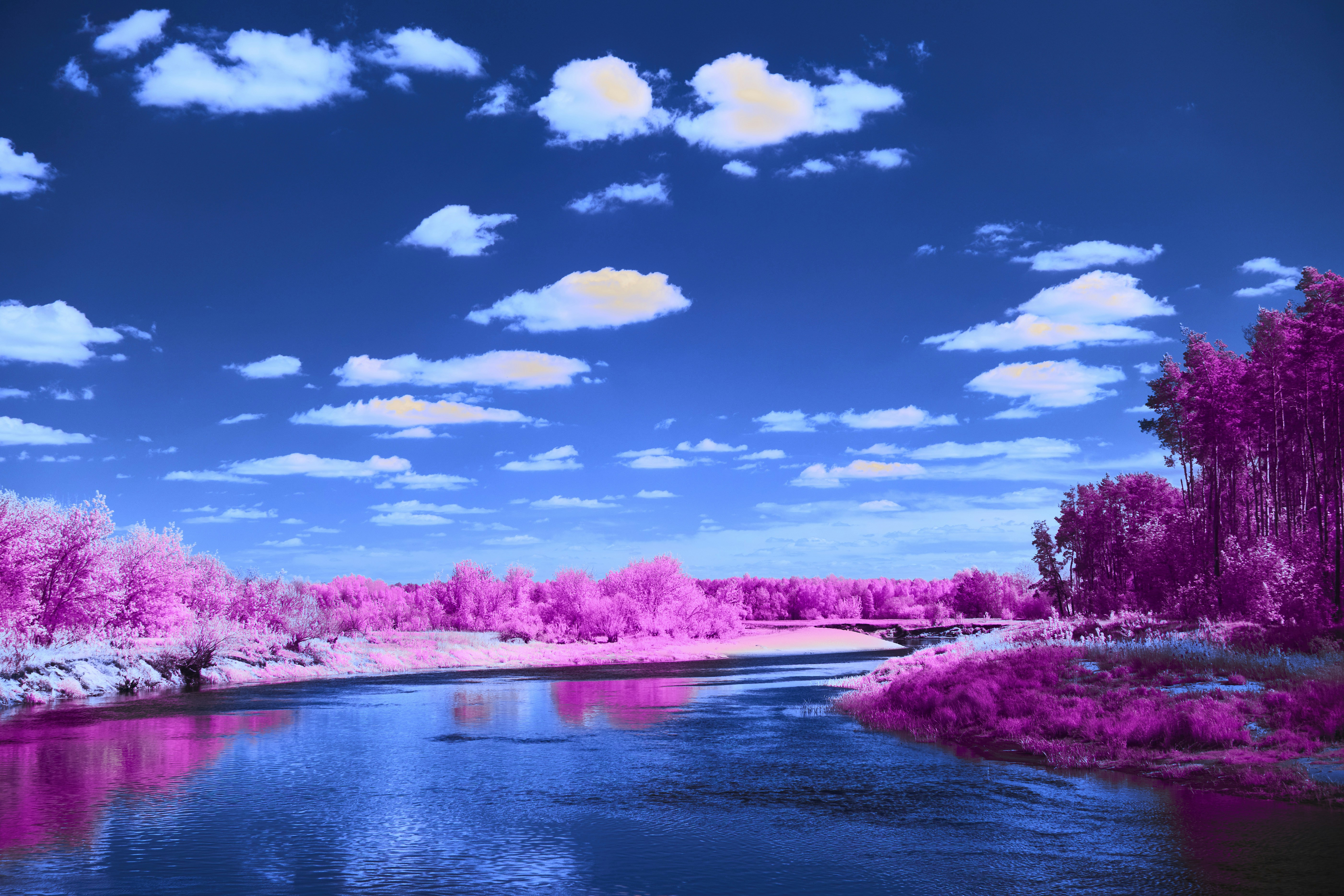 Photo by wolfgang_hasselmann