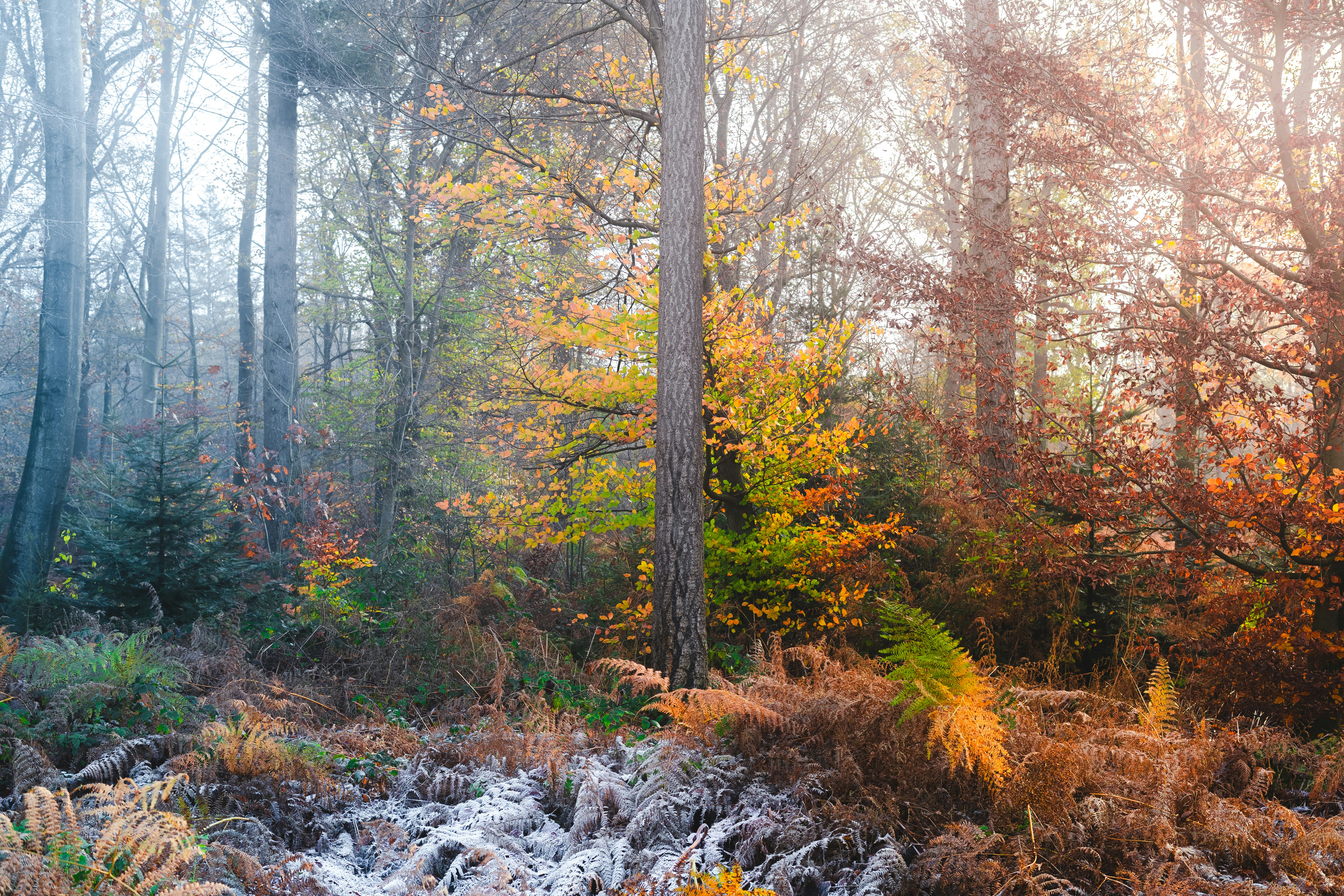 Photo by visualsbying