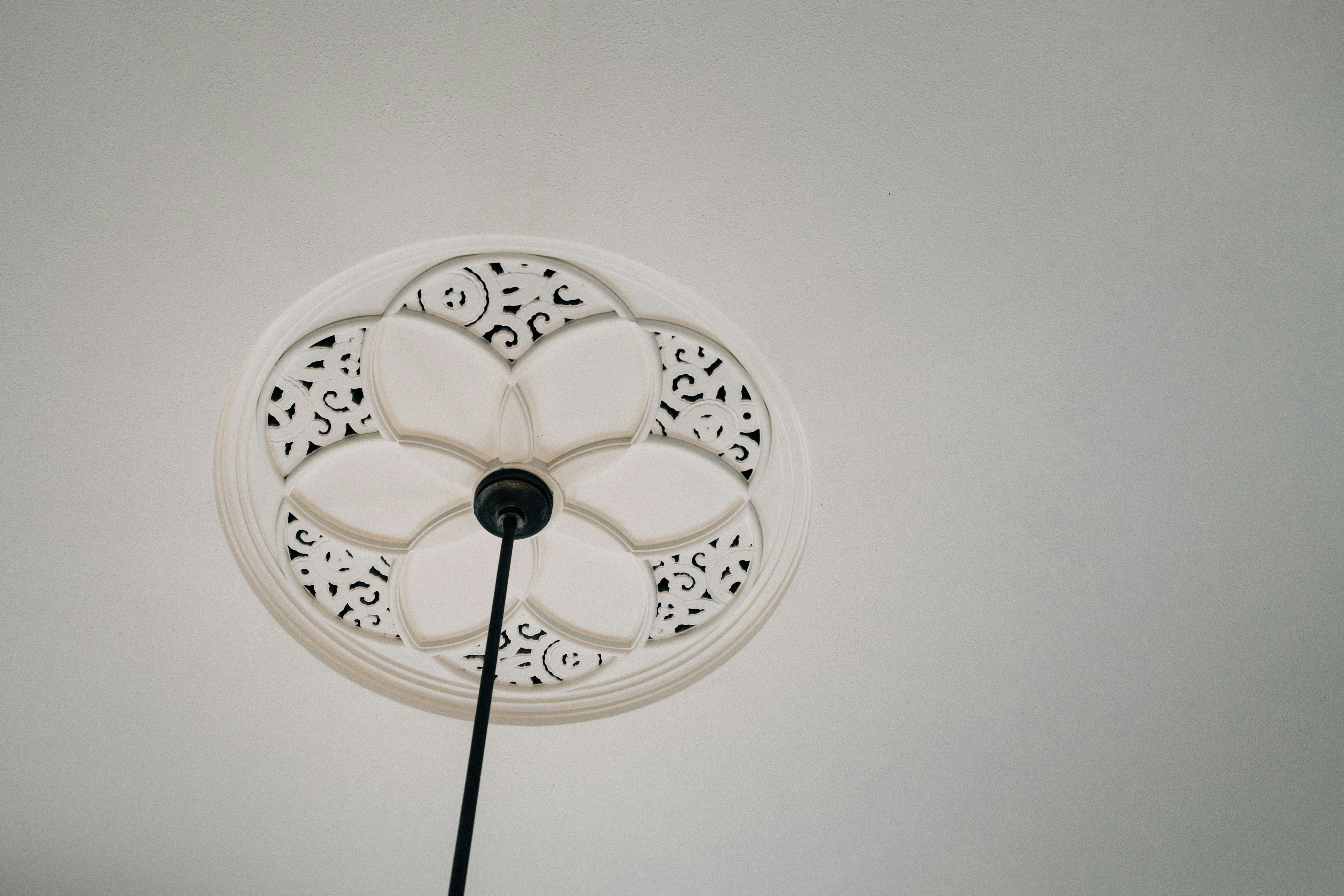 Ornate ceiling medallion with a light fixture.