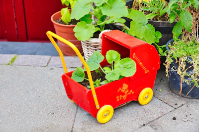 Red toy stroller used as a planter