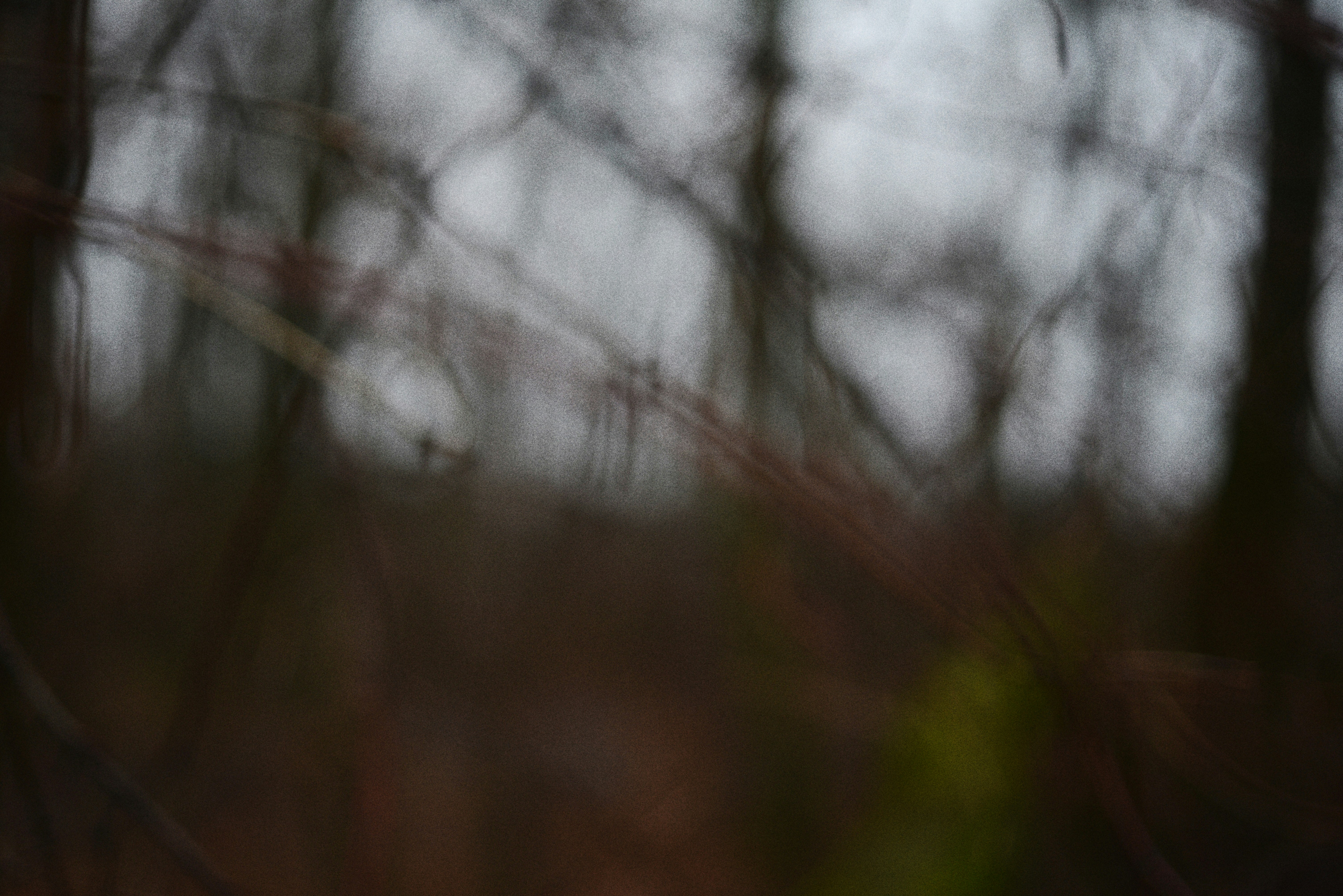 Photo by cherstve_pechivo