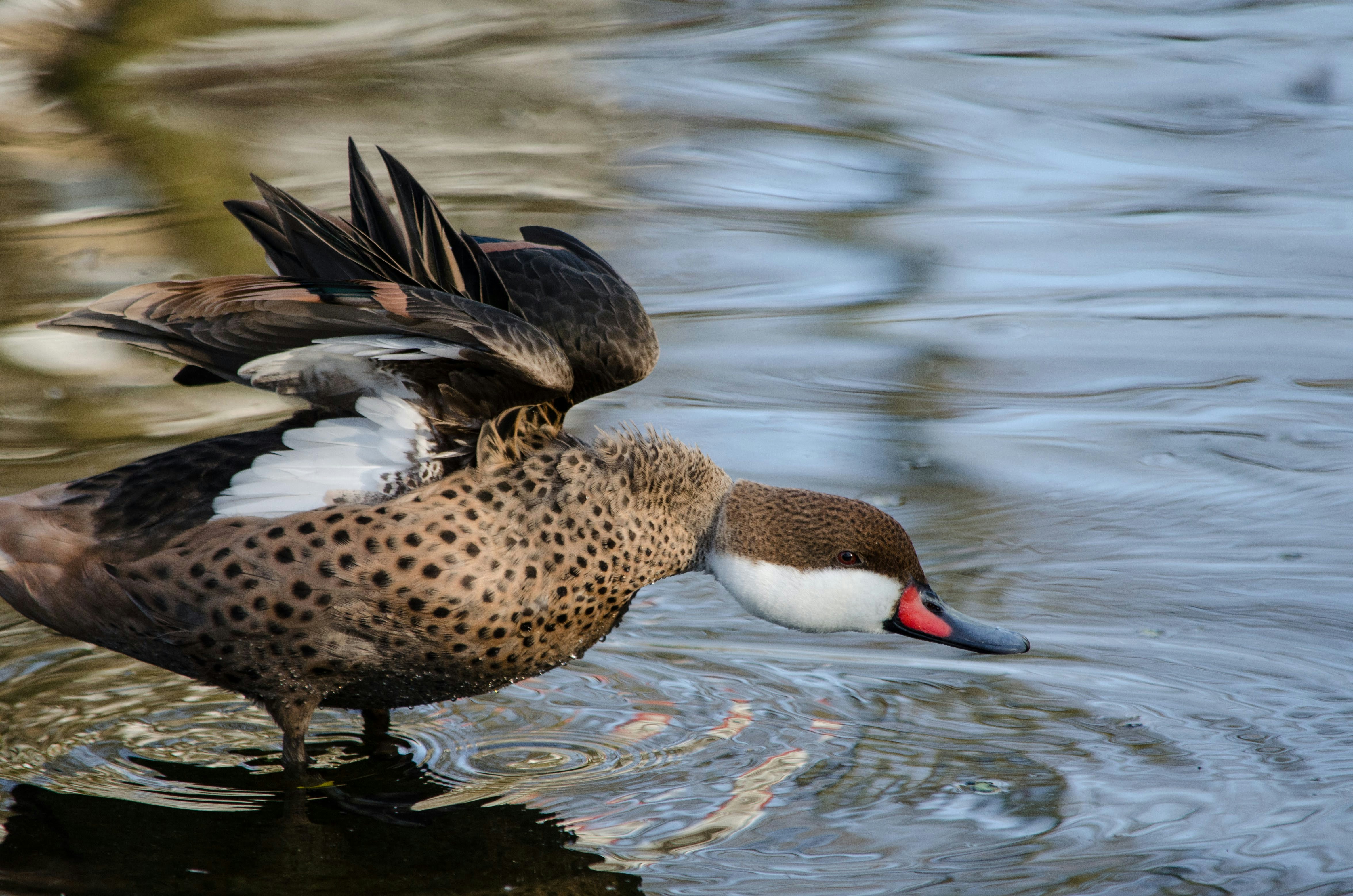 Photo by zlobiwankenobi