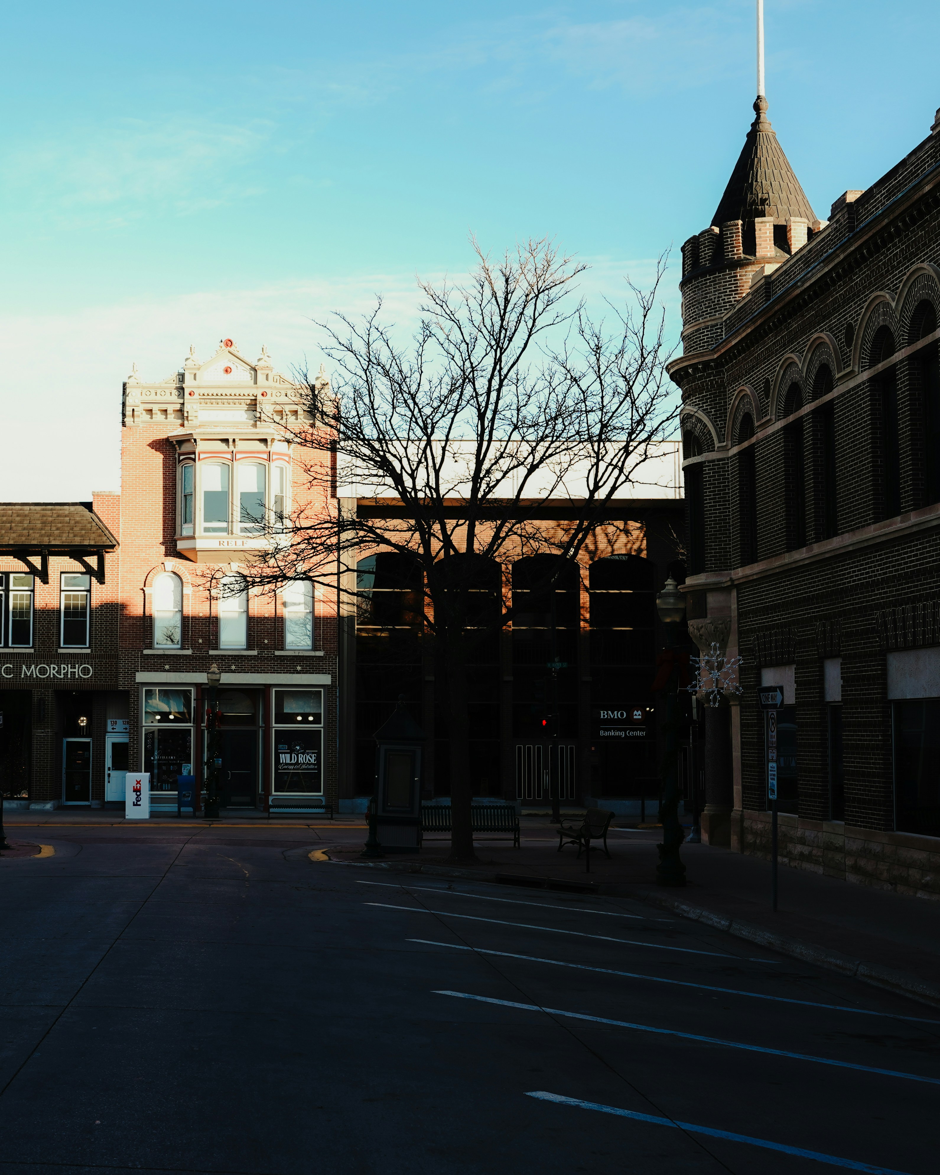 Buildings and bare tree on a sunny day.