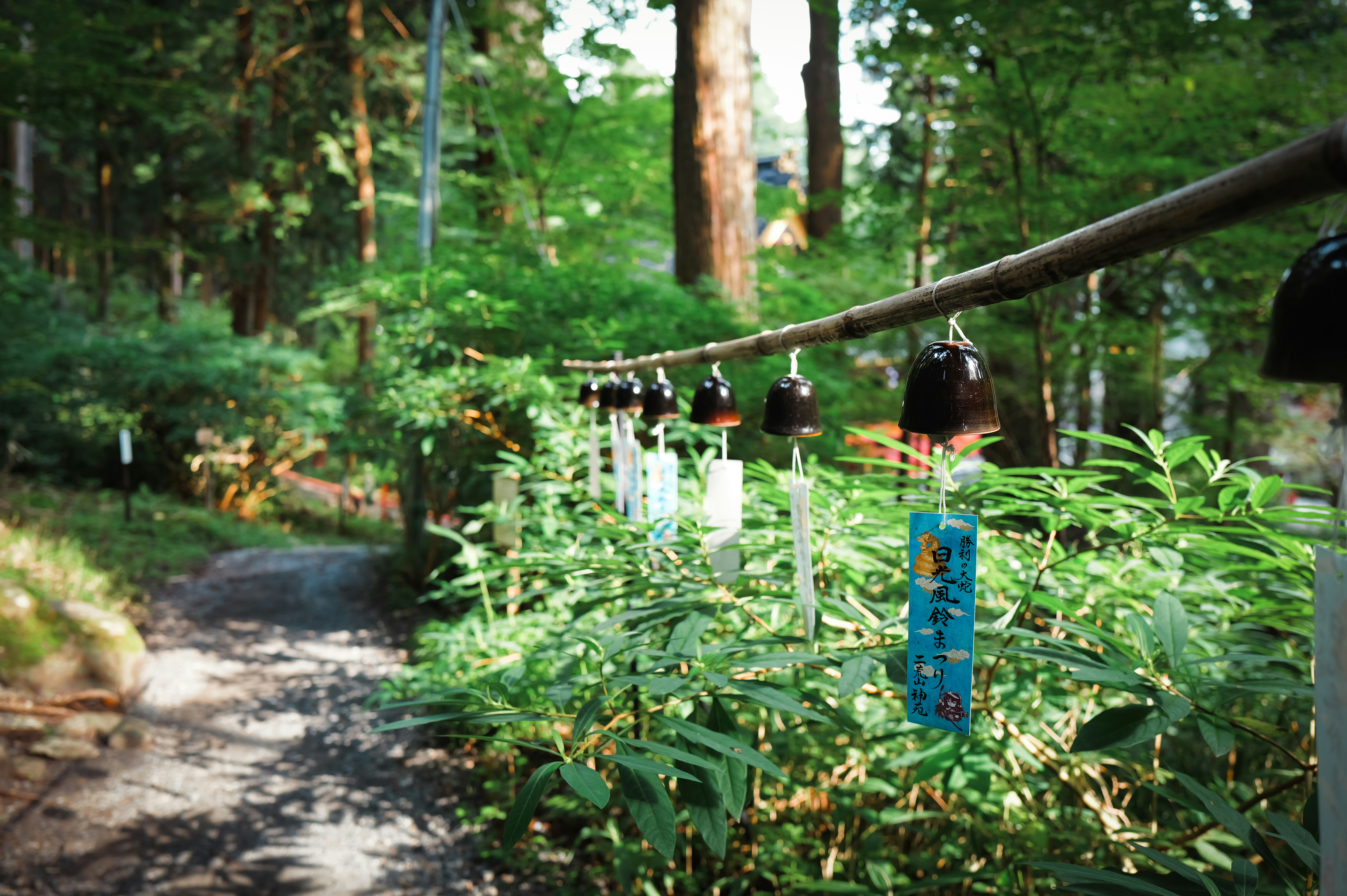 Wind chimes hanging from a wooden pole in a forest.