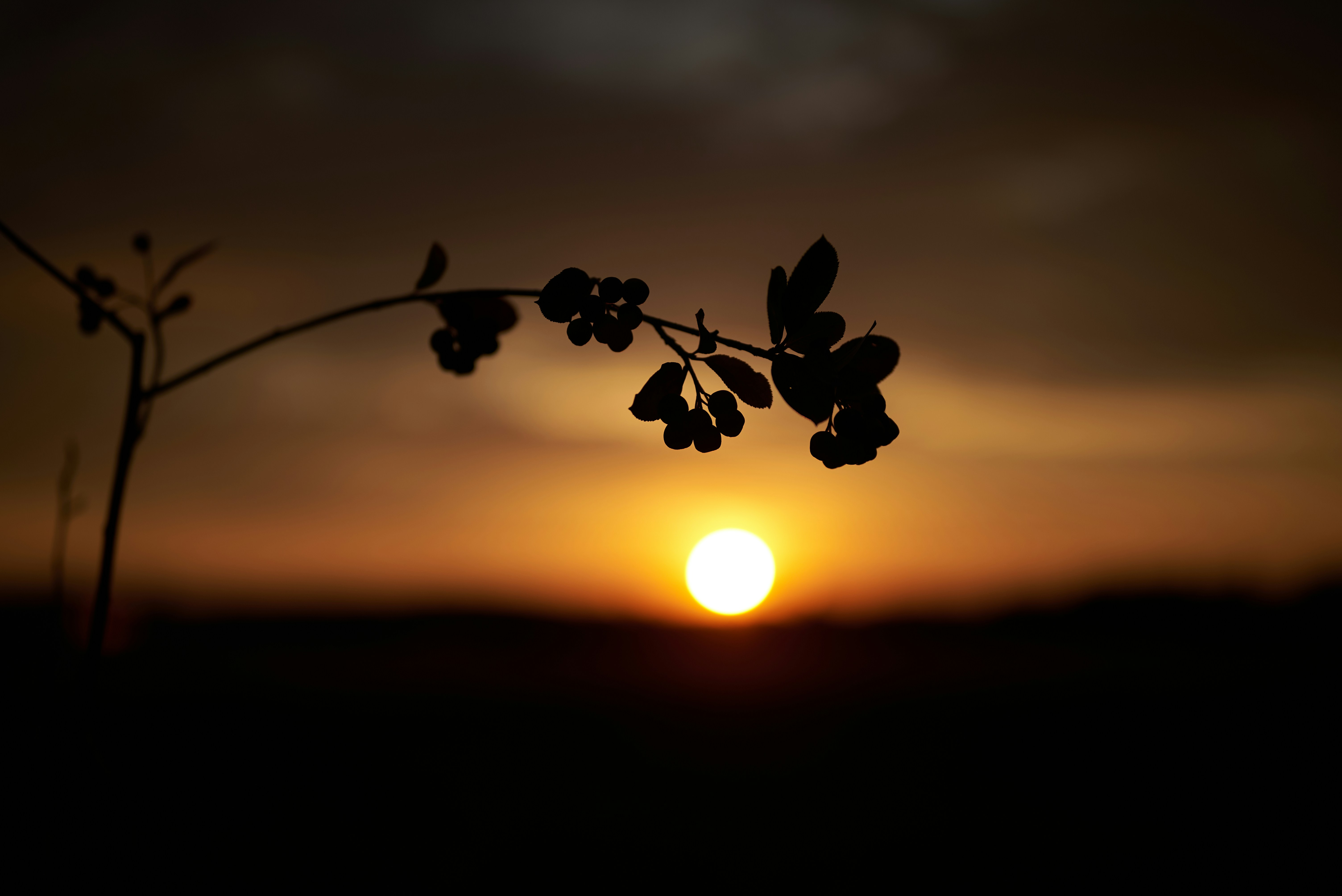 Photo by _devslashnull_