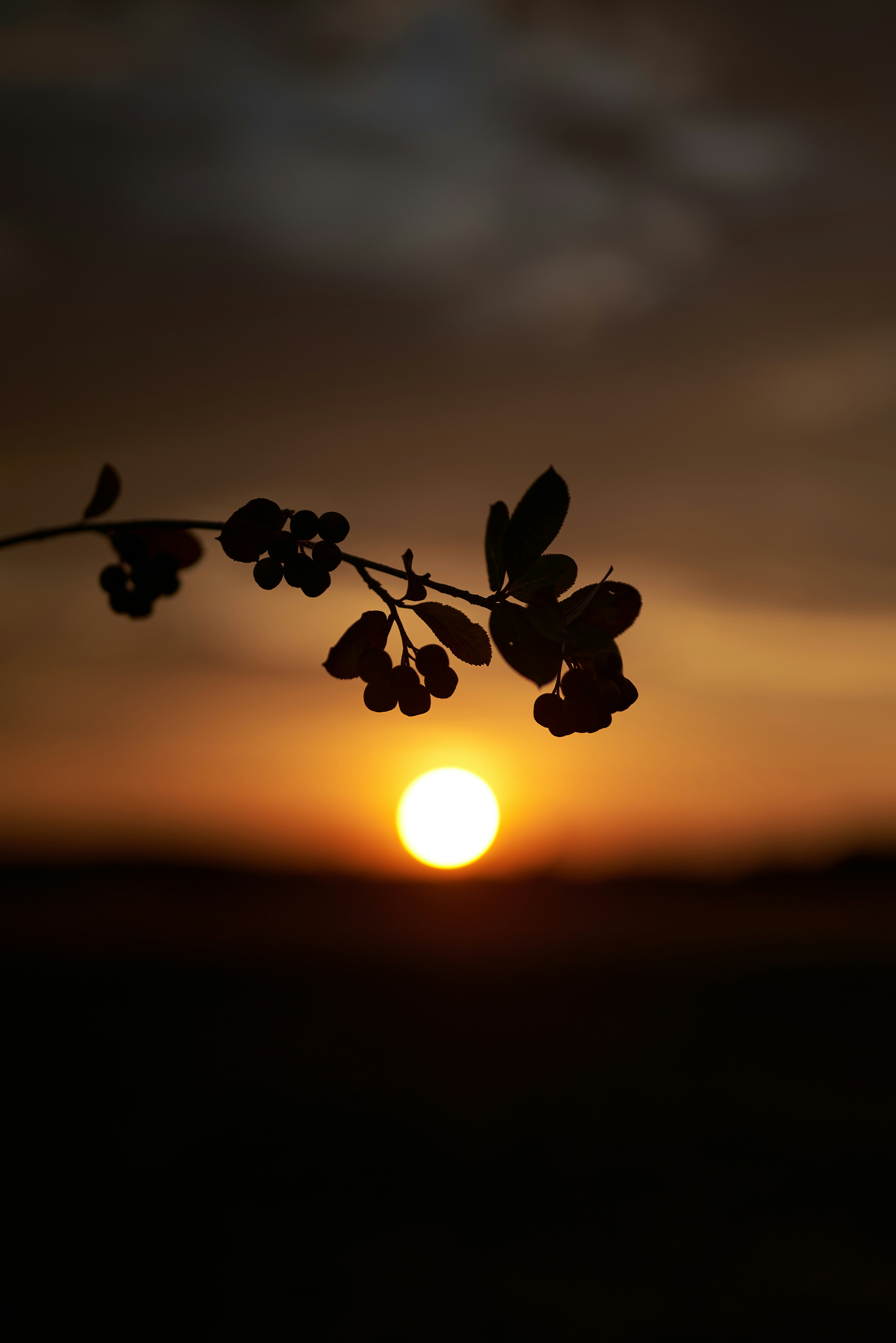 Photo by _devslashnull_