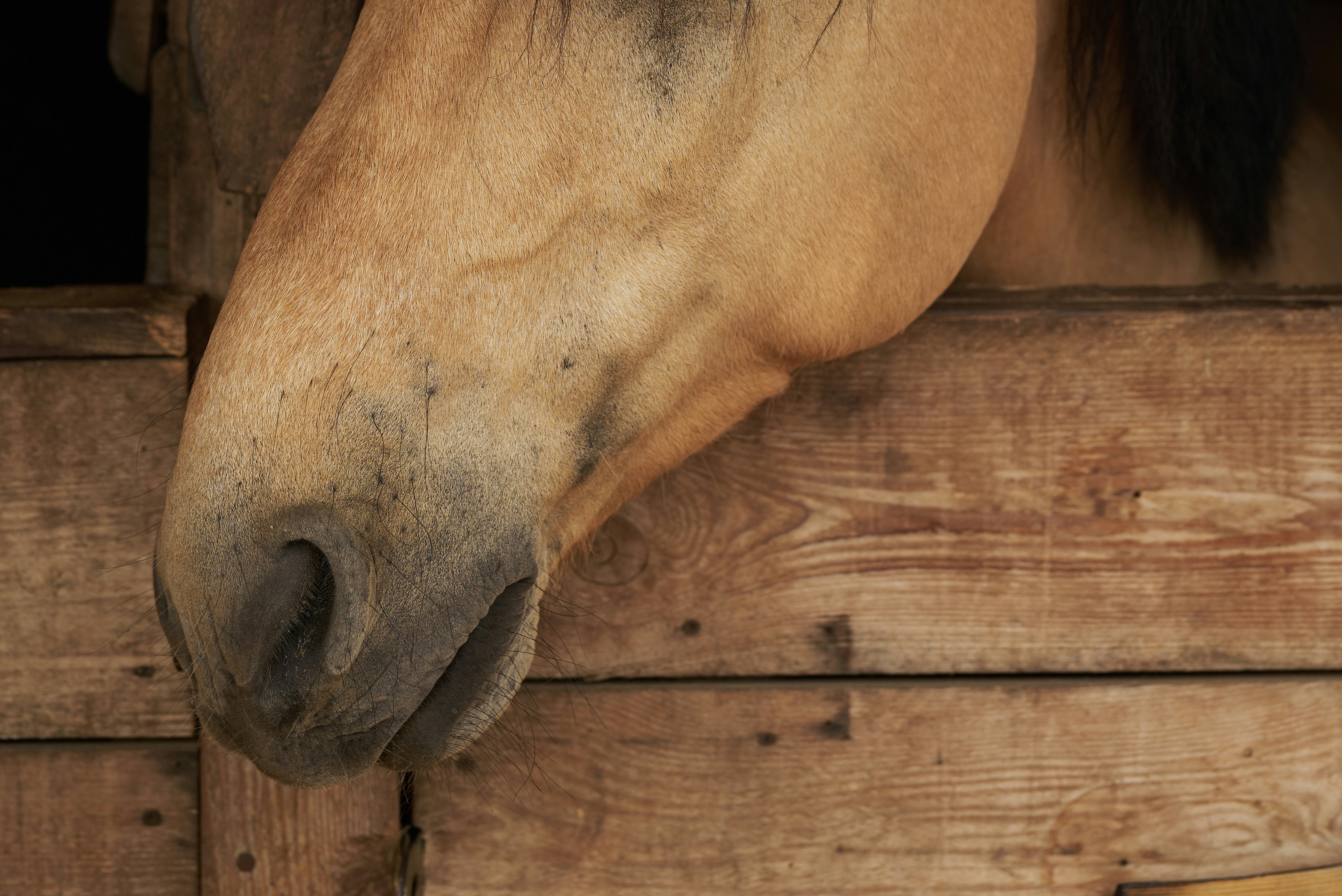 Photo by _devslashnull_