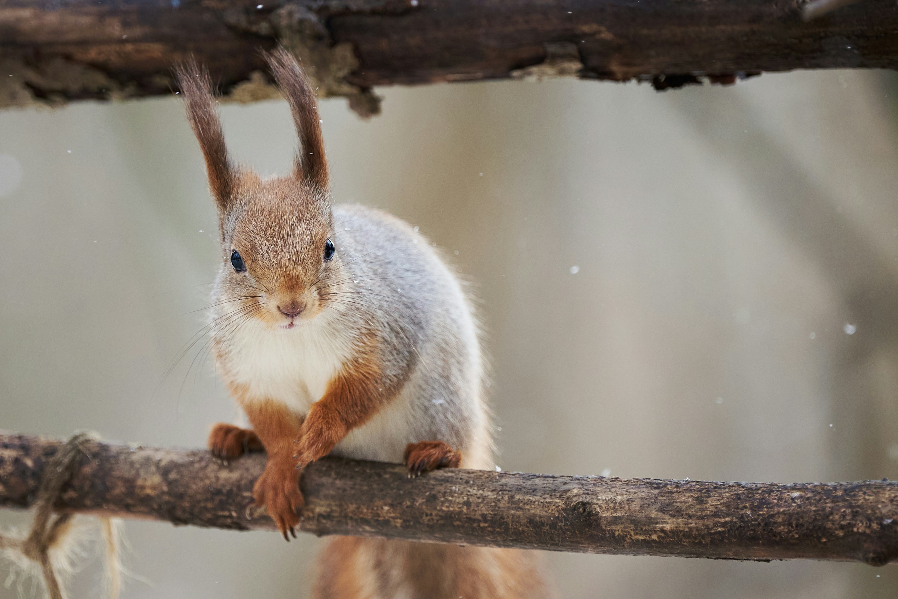 Photo by _devslashnull_