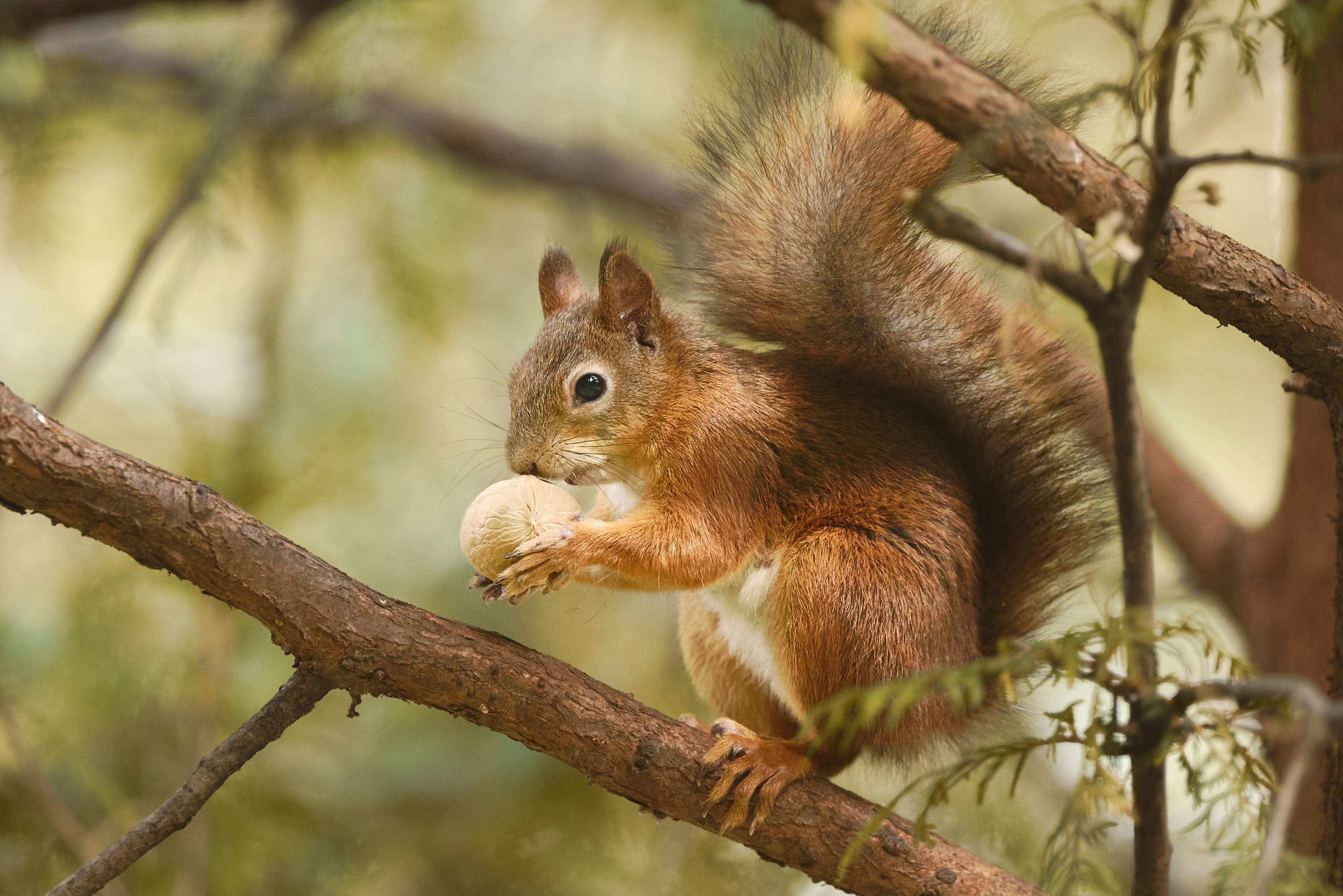 Photo by _devslashnull_