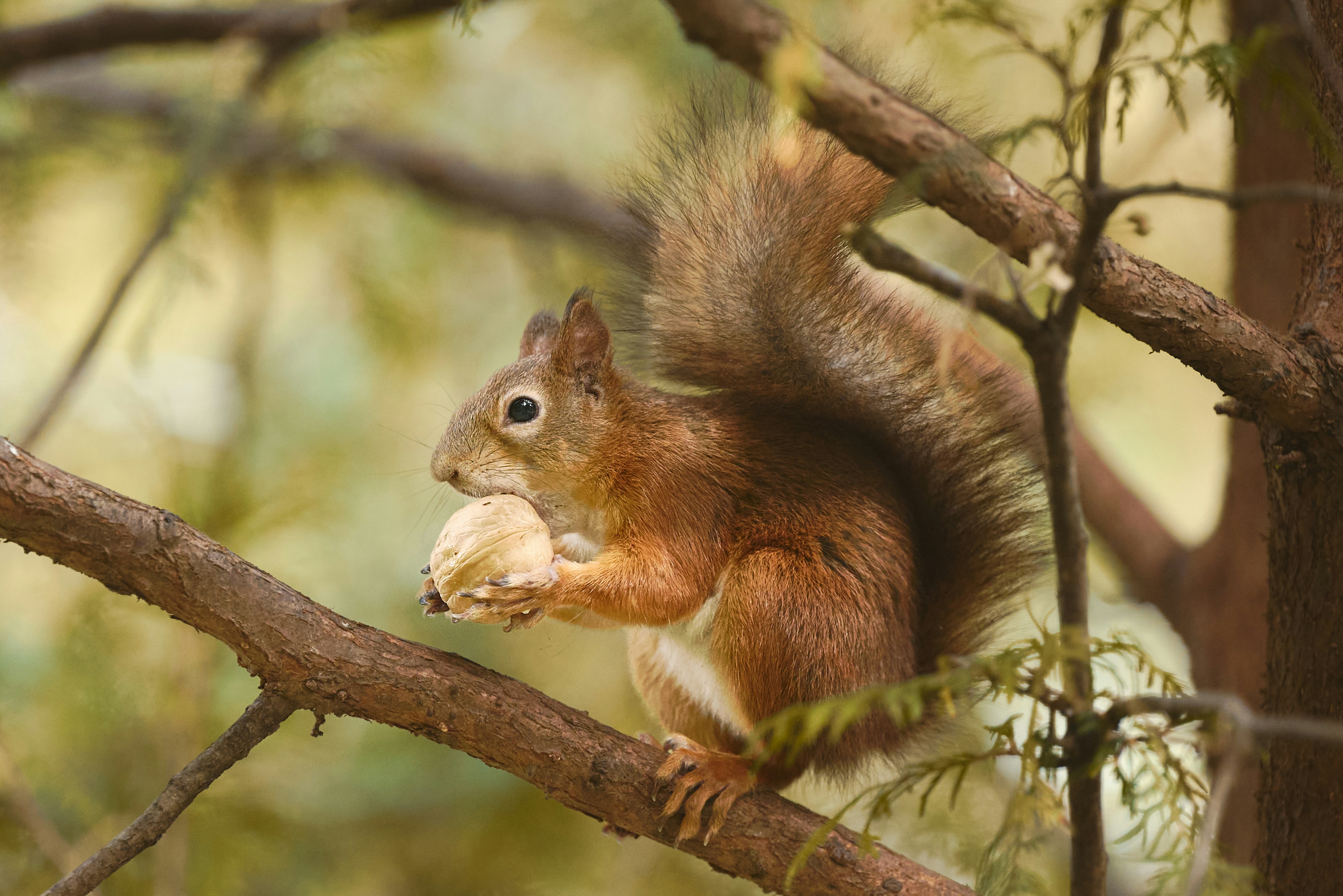 Photo by _devslashnull_