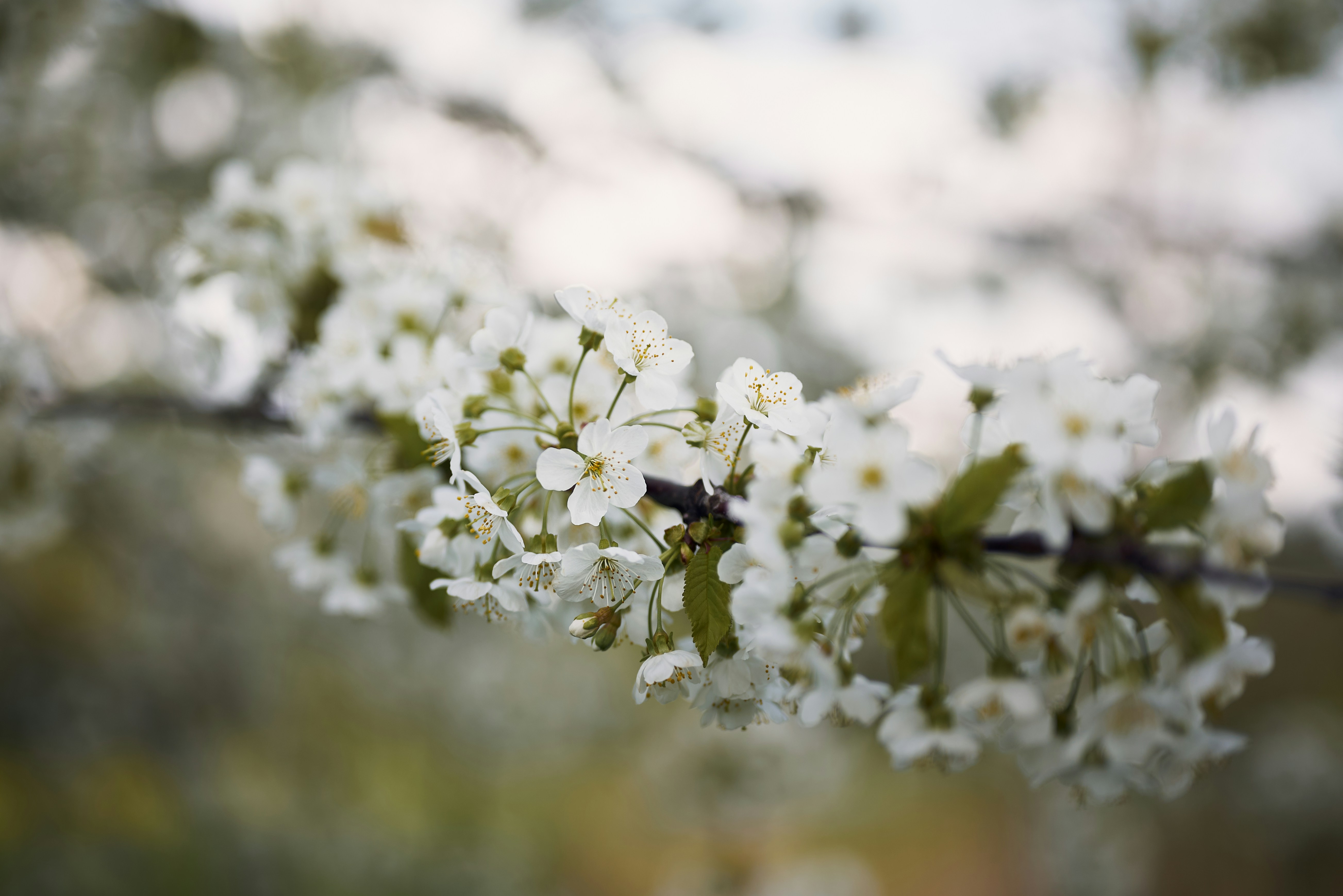 Photo by _devslashnull_