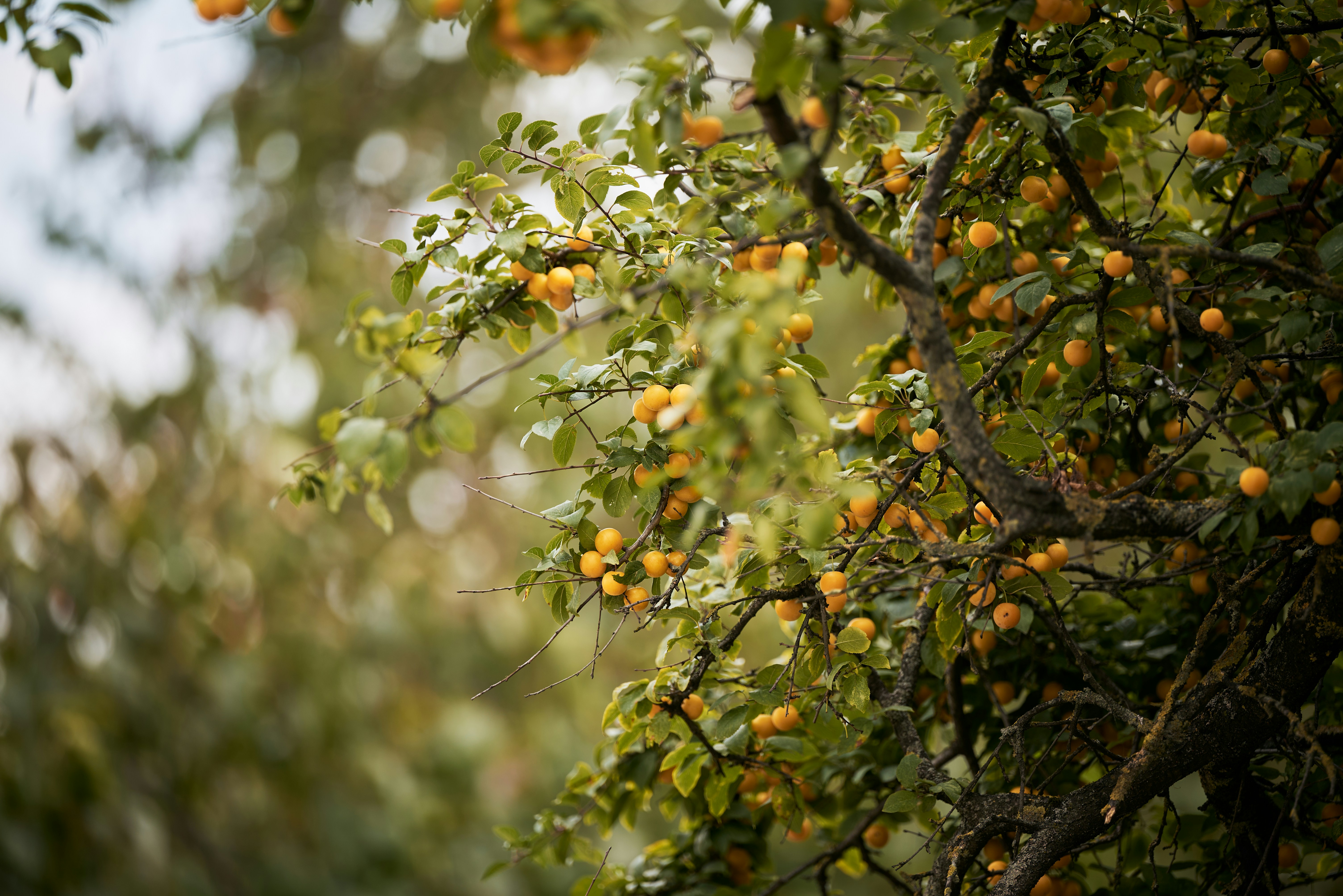 Photo by _devslashnull_