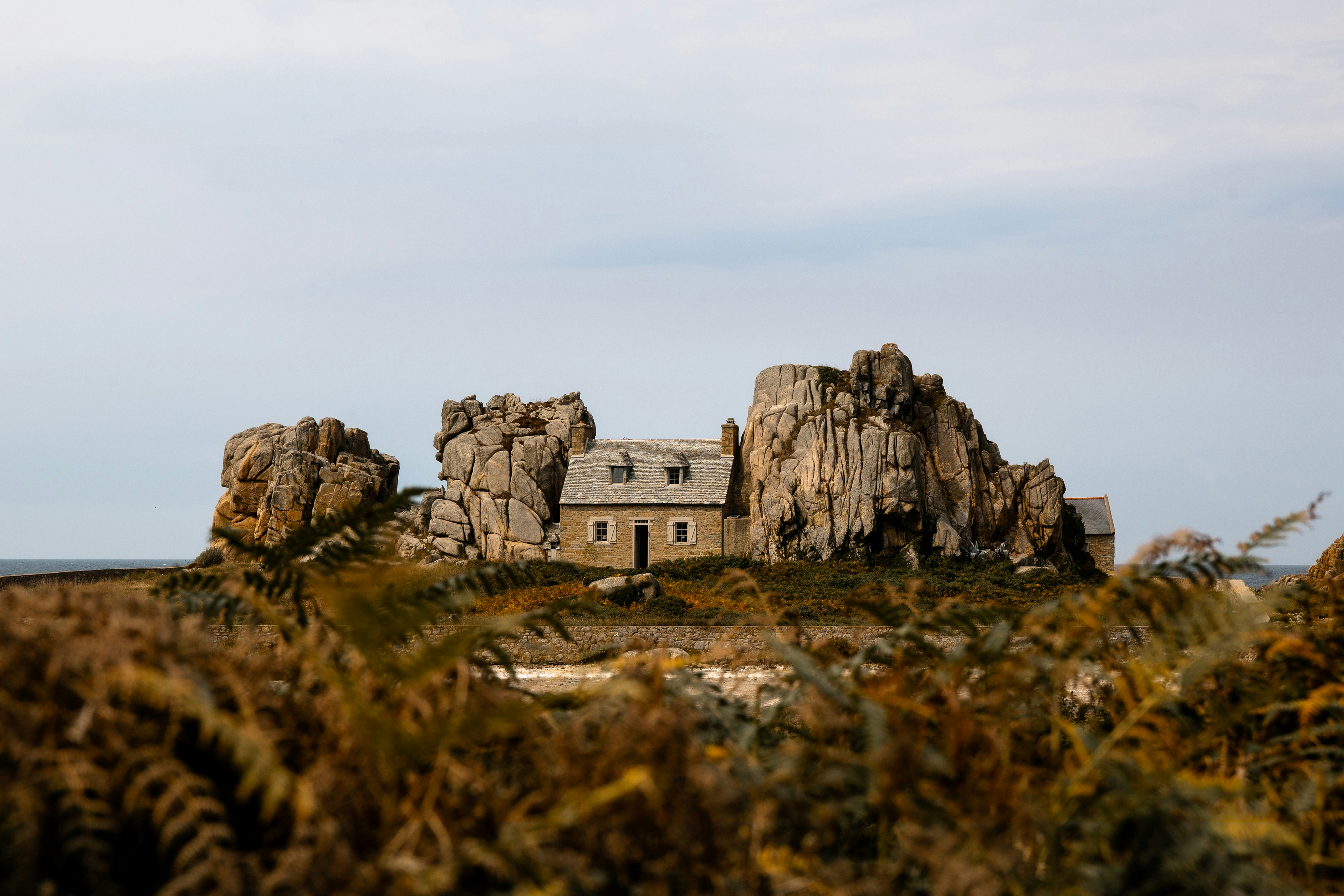 The Function Of Insurance Coverage Agents In Helping Clients Send Insurance Claims Quickly And Effectively