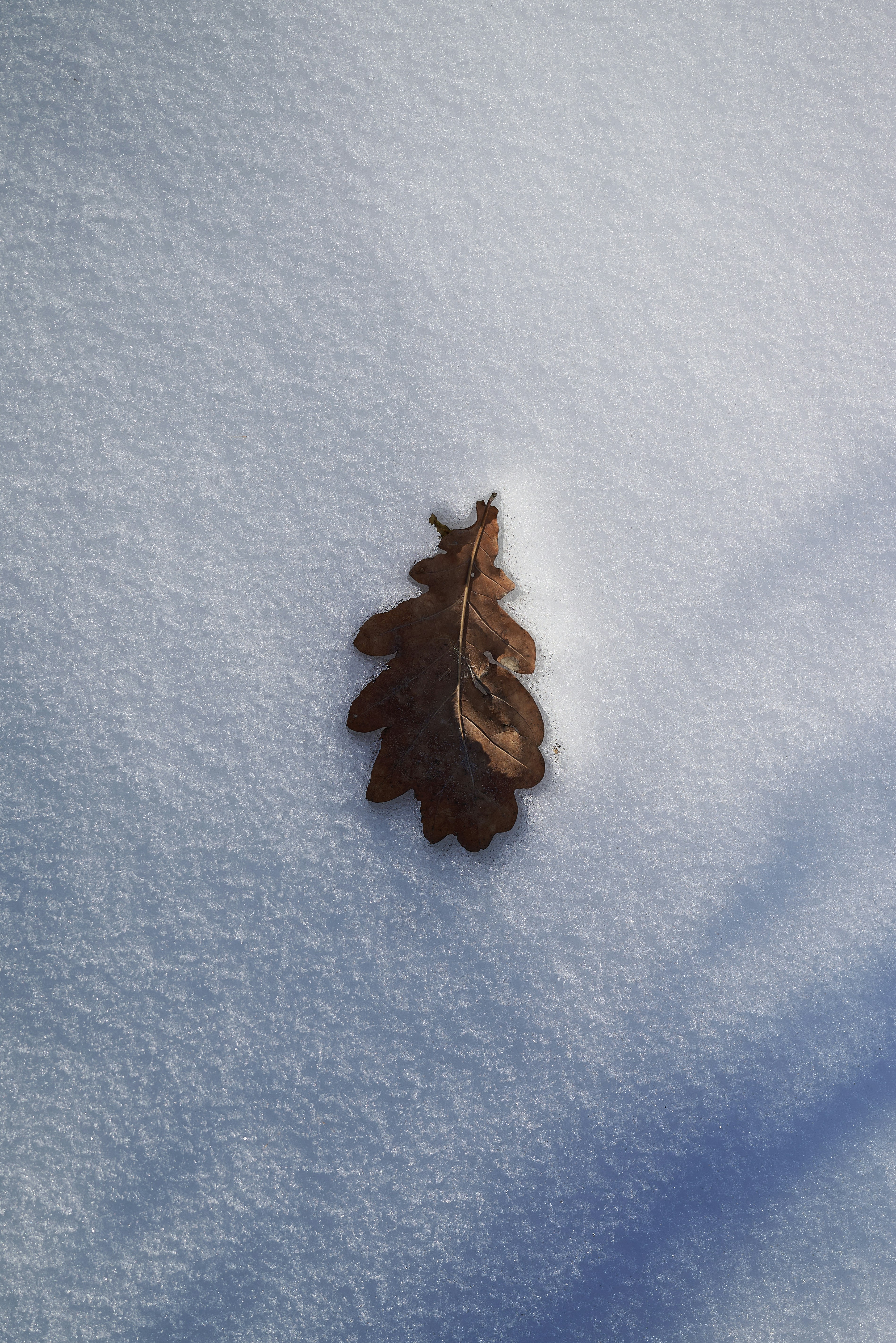 Photo by _devslashnull_