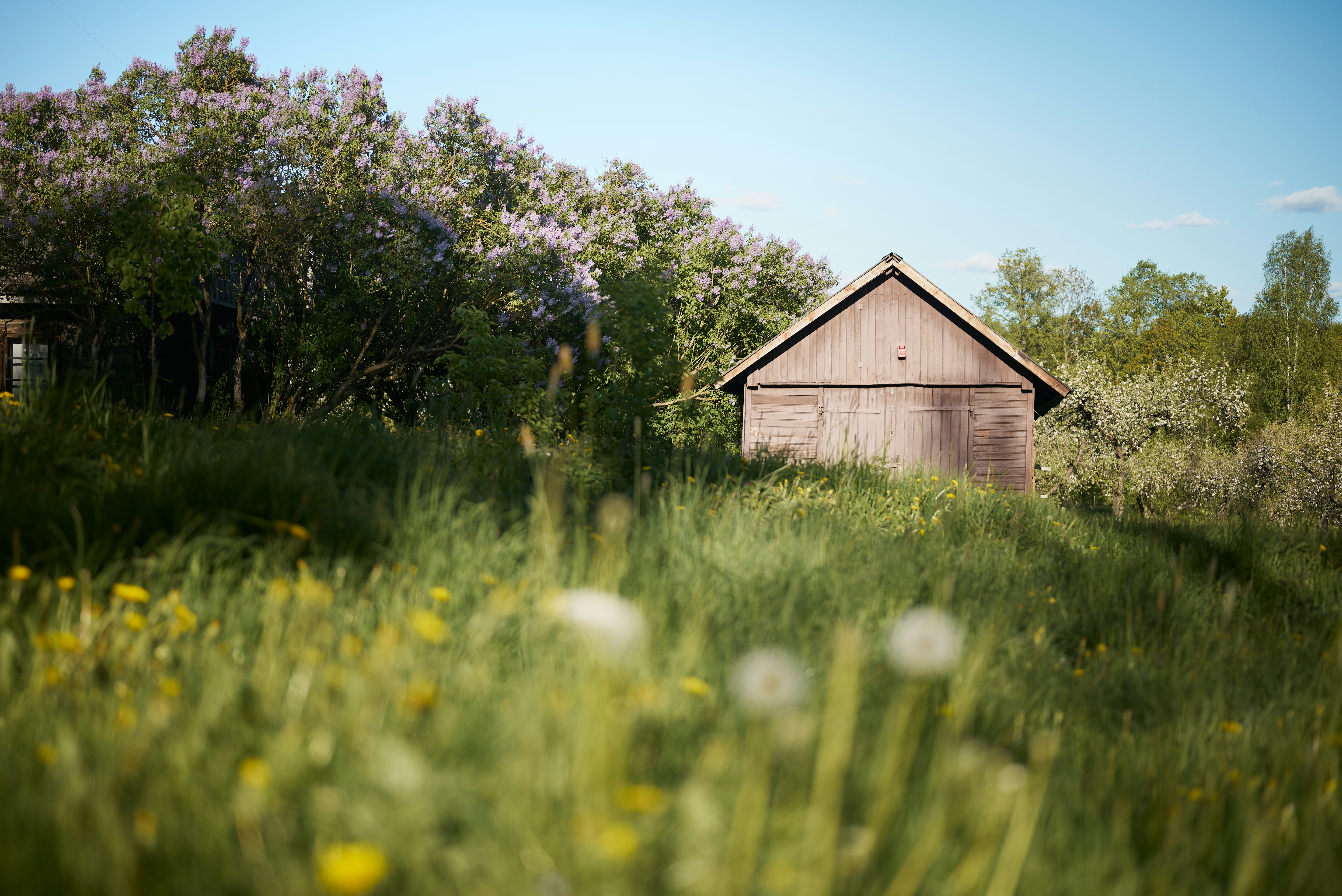 Photo by _devslashnull_