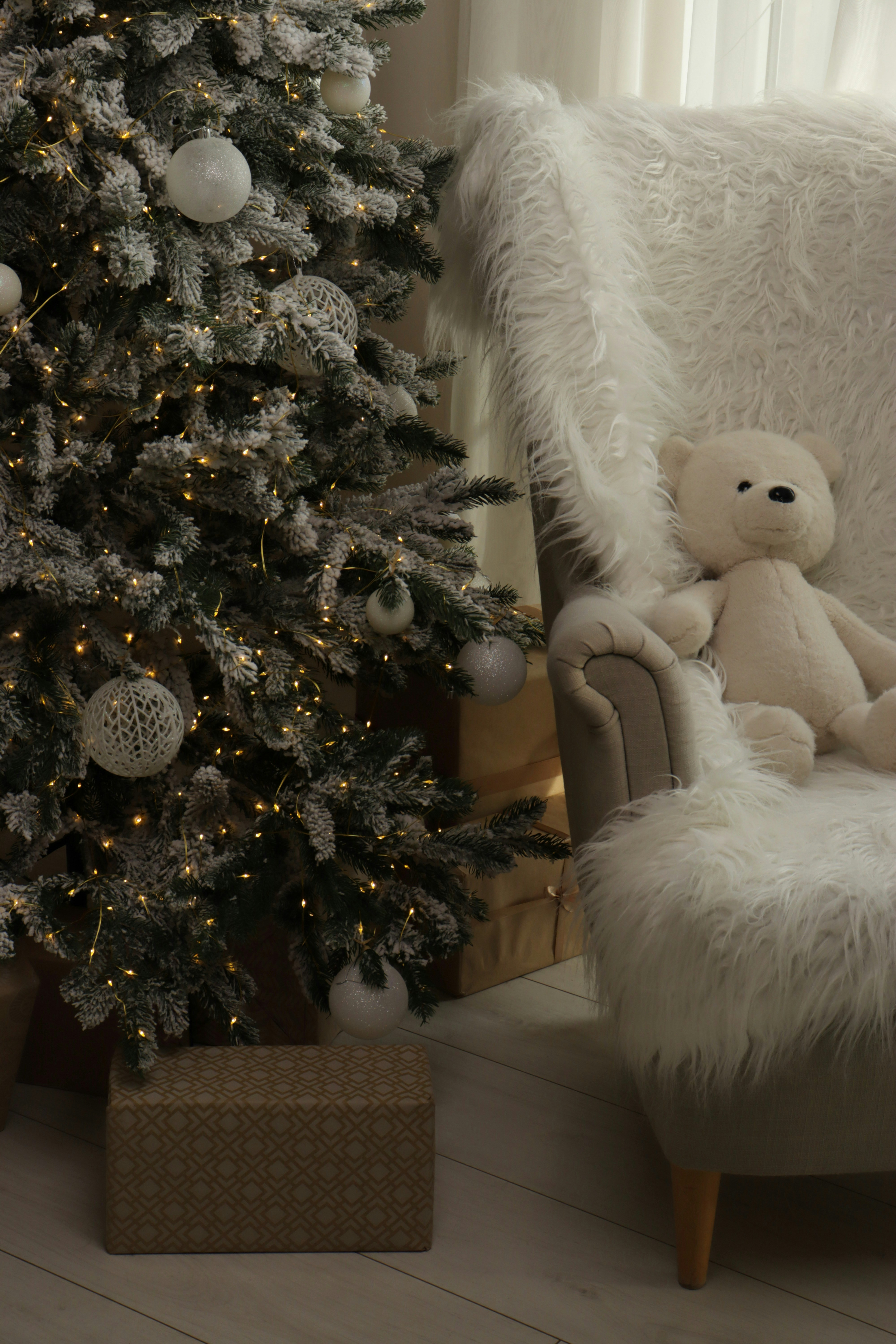 Photo by bored_mongoose