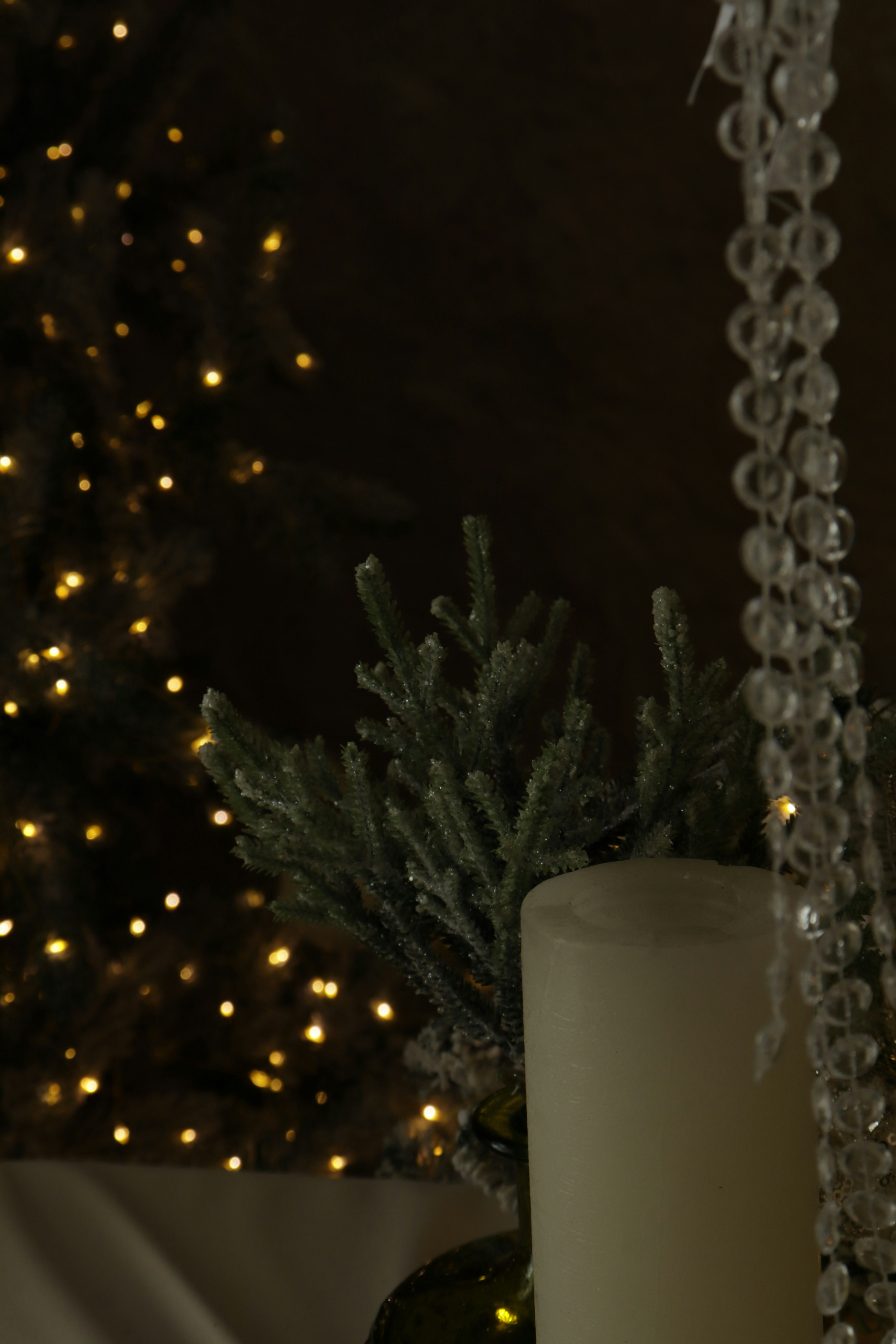 Photo by bored_mongoose