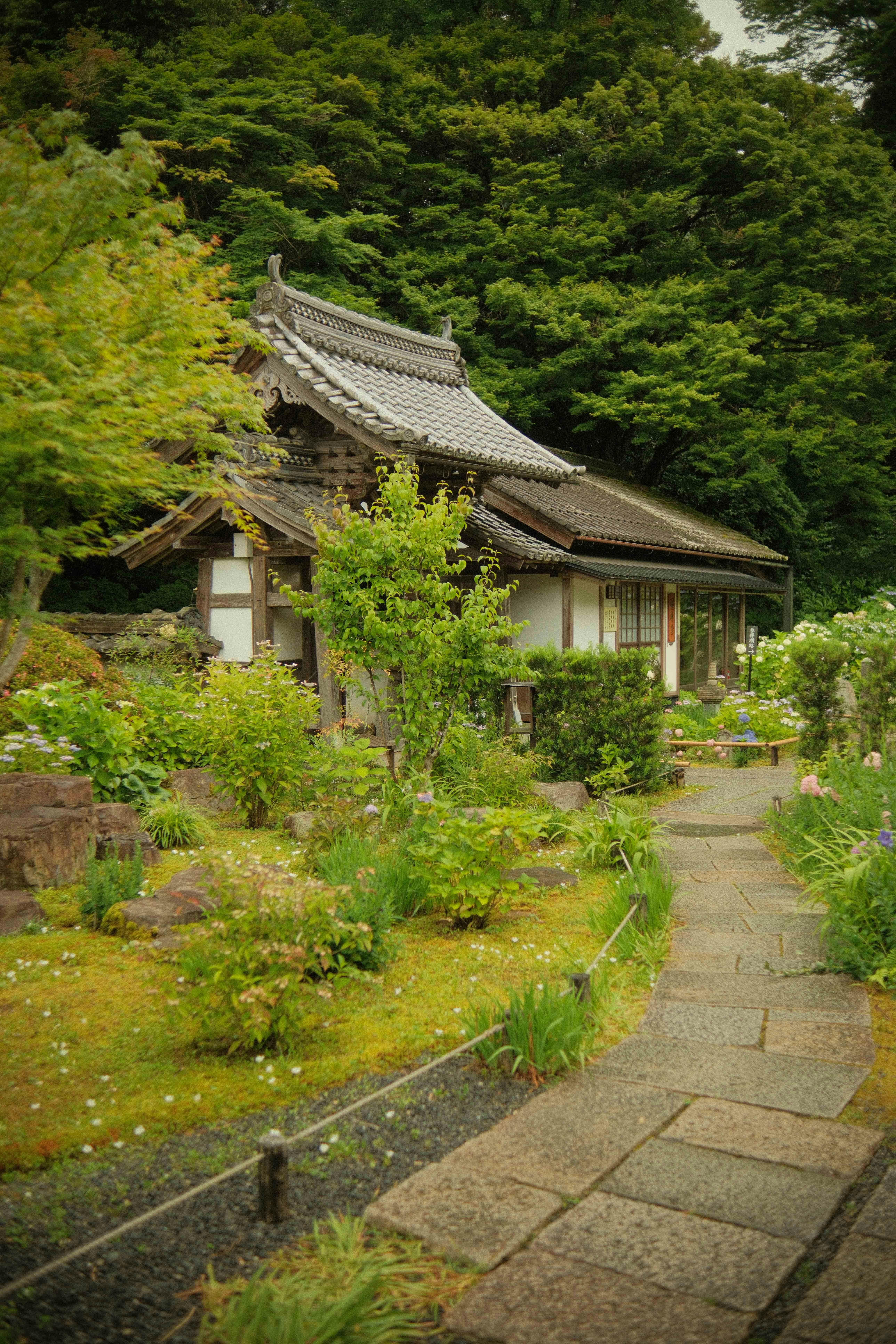 Photo by joschka_silzle