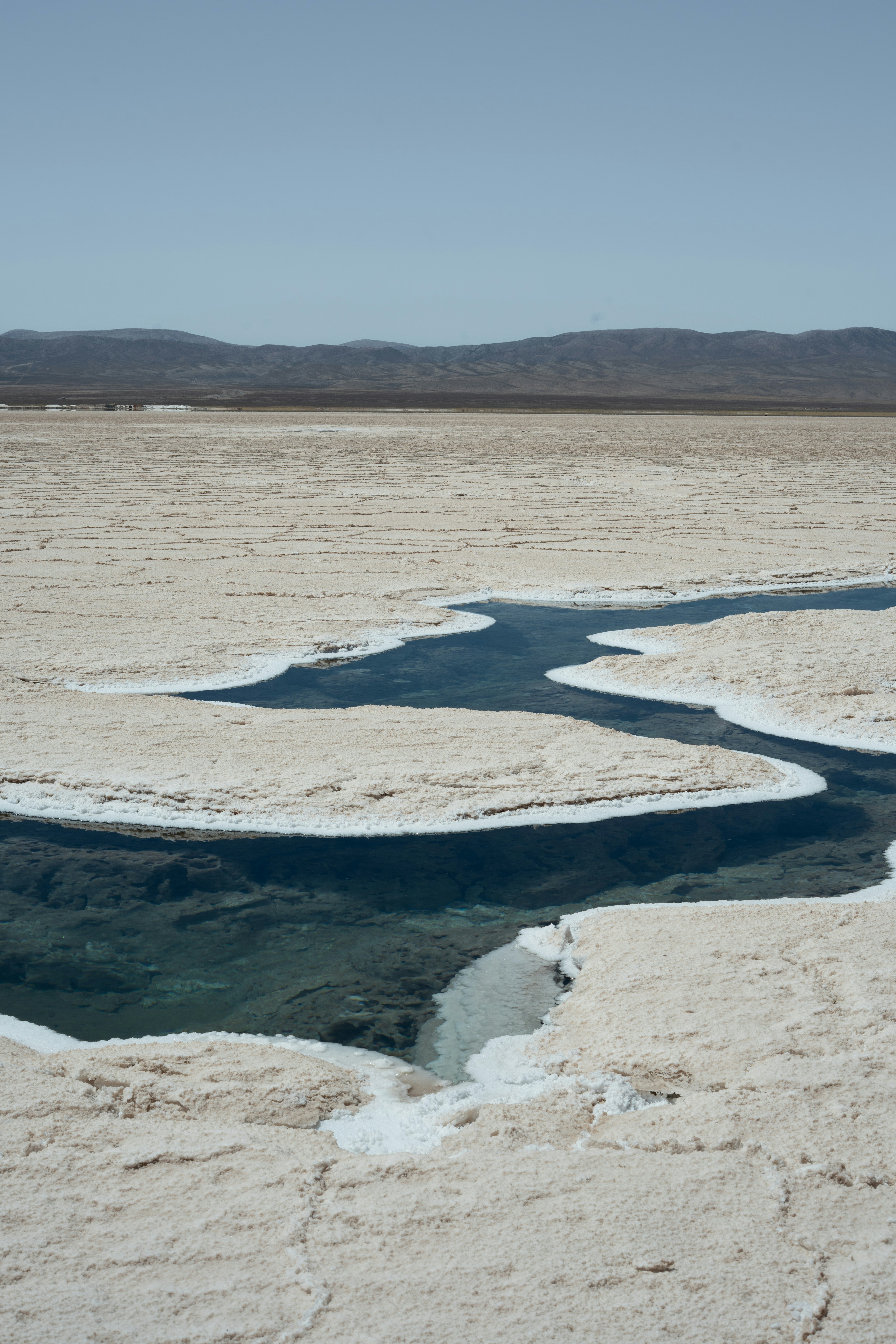A winding stream flows through a dry, salt-crusted landscape.