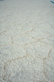 Cracked salt flats under a bright sky.