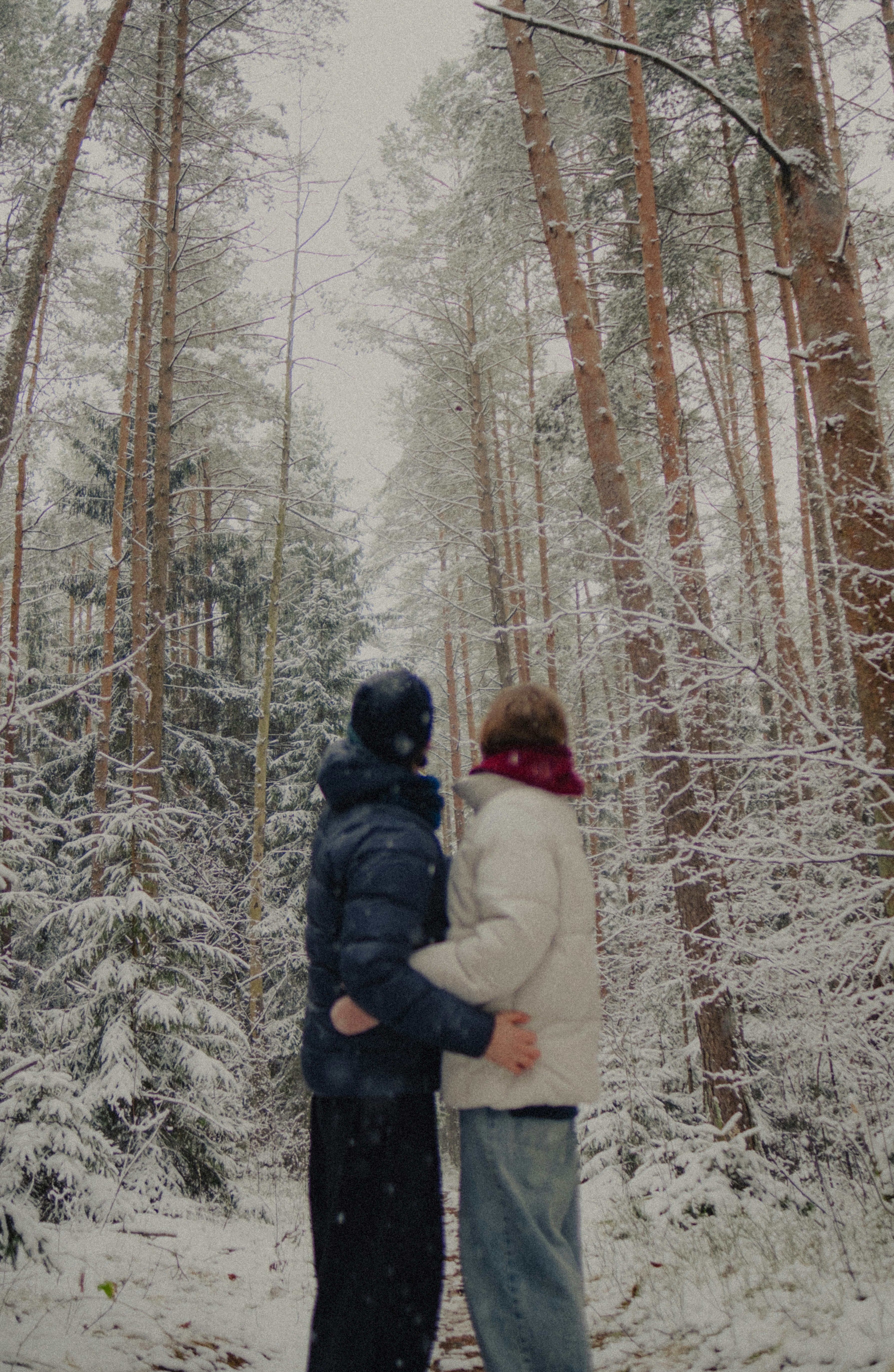 Two people embracing in a snowy forest