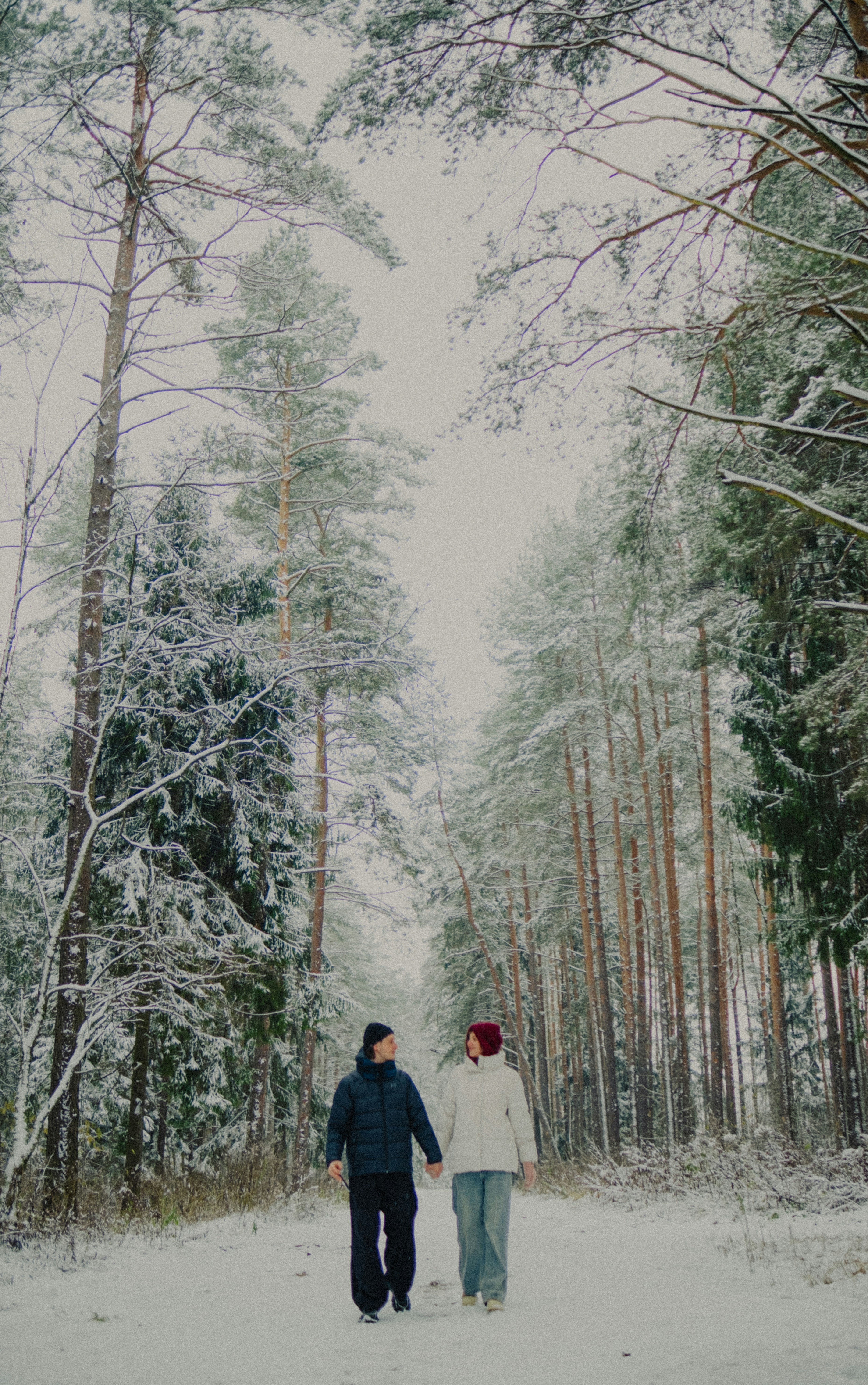 frosted forest snow, winter wedding decor, ilustrasi artikel Enchanting Winter Wedding Decor: Create Your Own Winter Wonderland 7