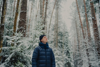 Fill Power Explained: 650 vs 800 vs 900