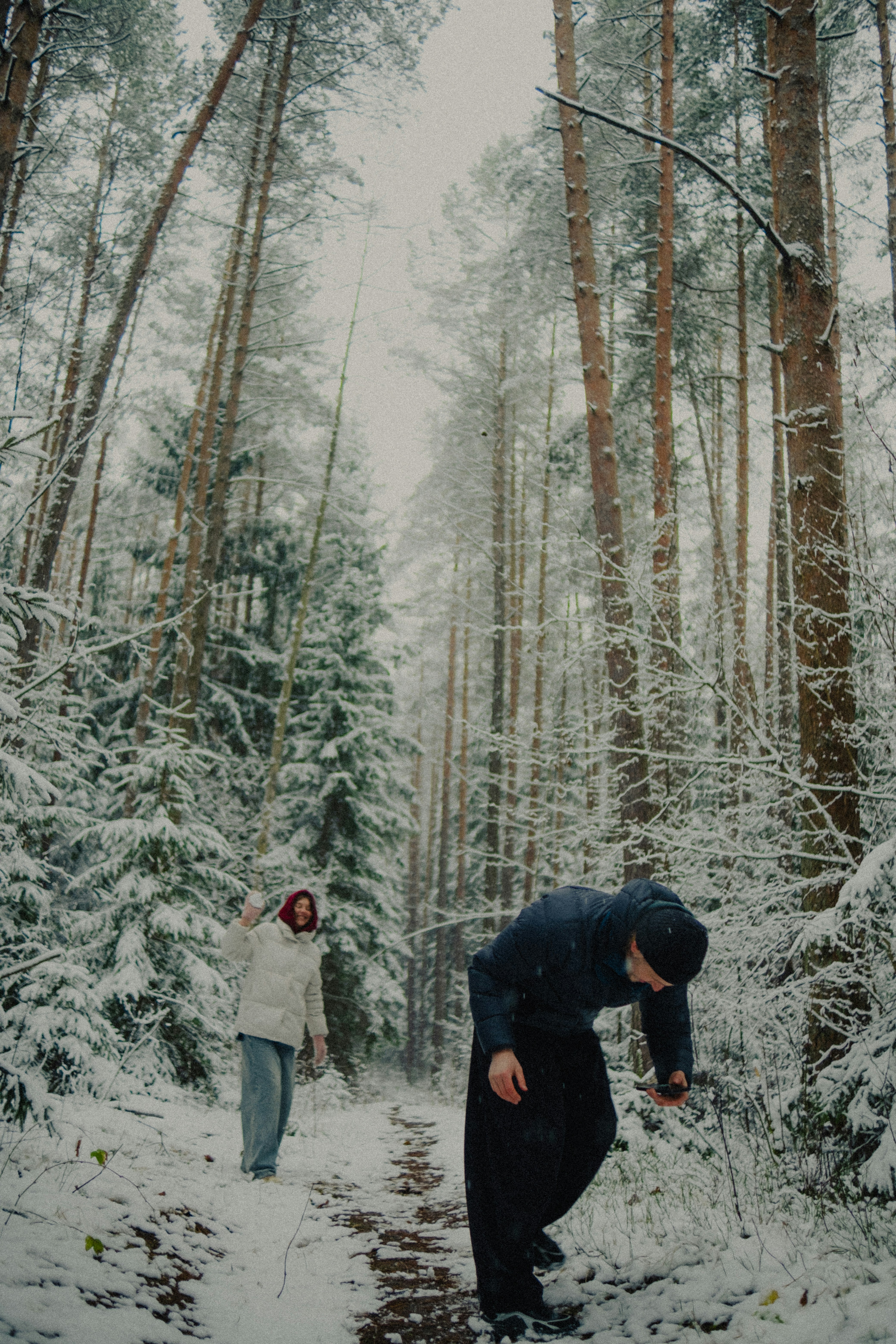 Two people walking on a snowy forest path