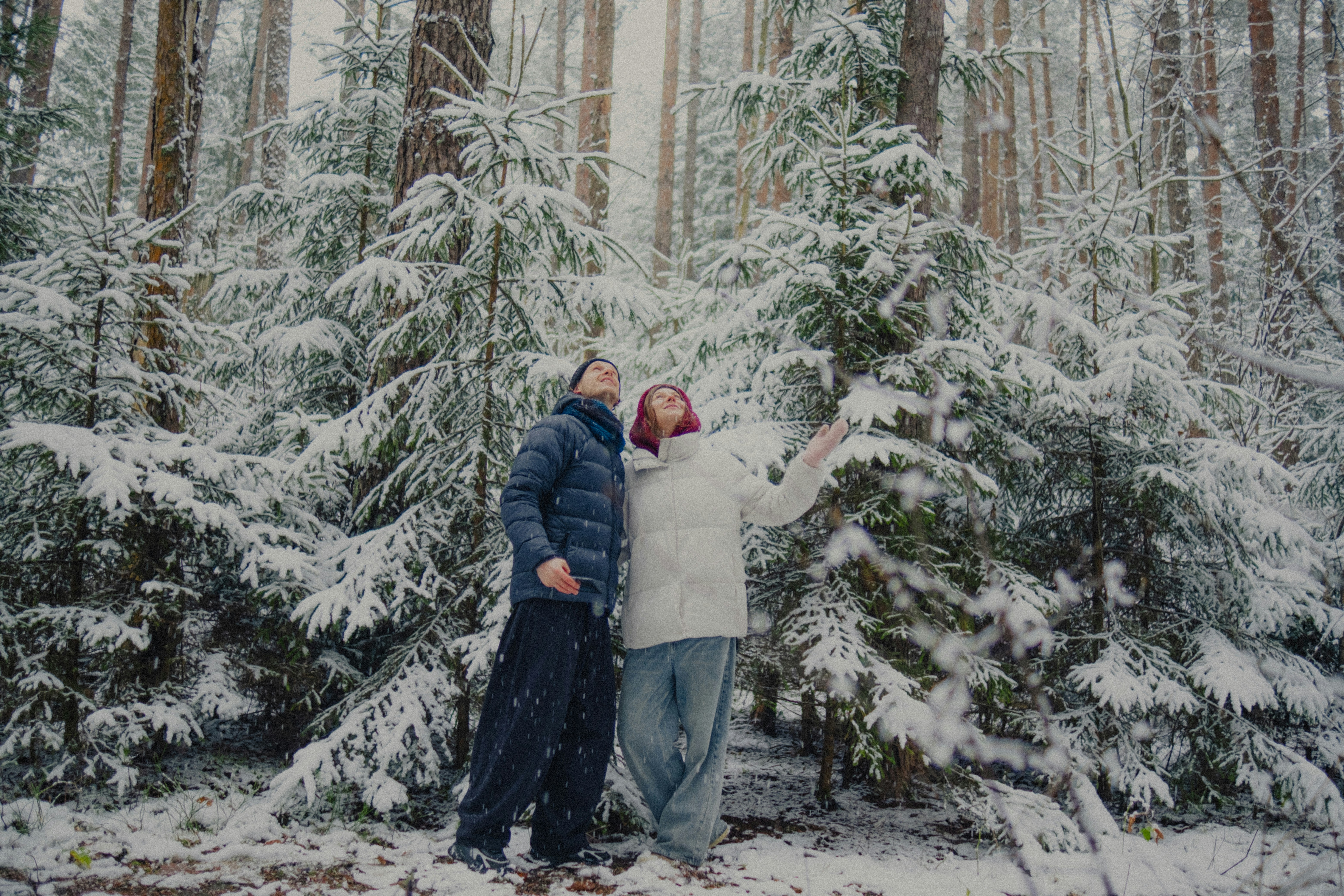 Couple enjoying snowfall in a pine forest
