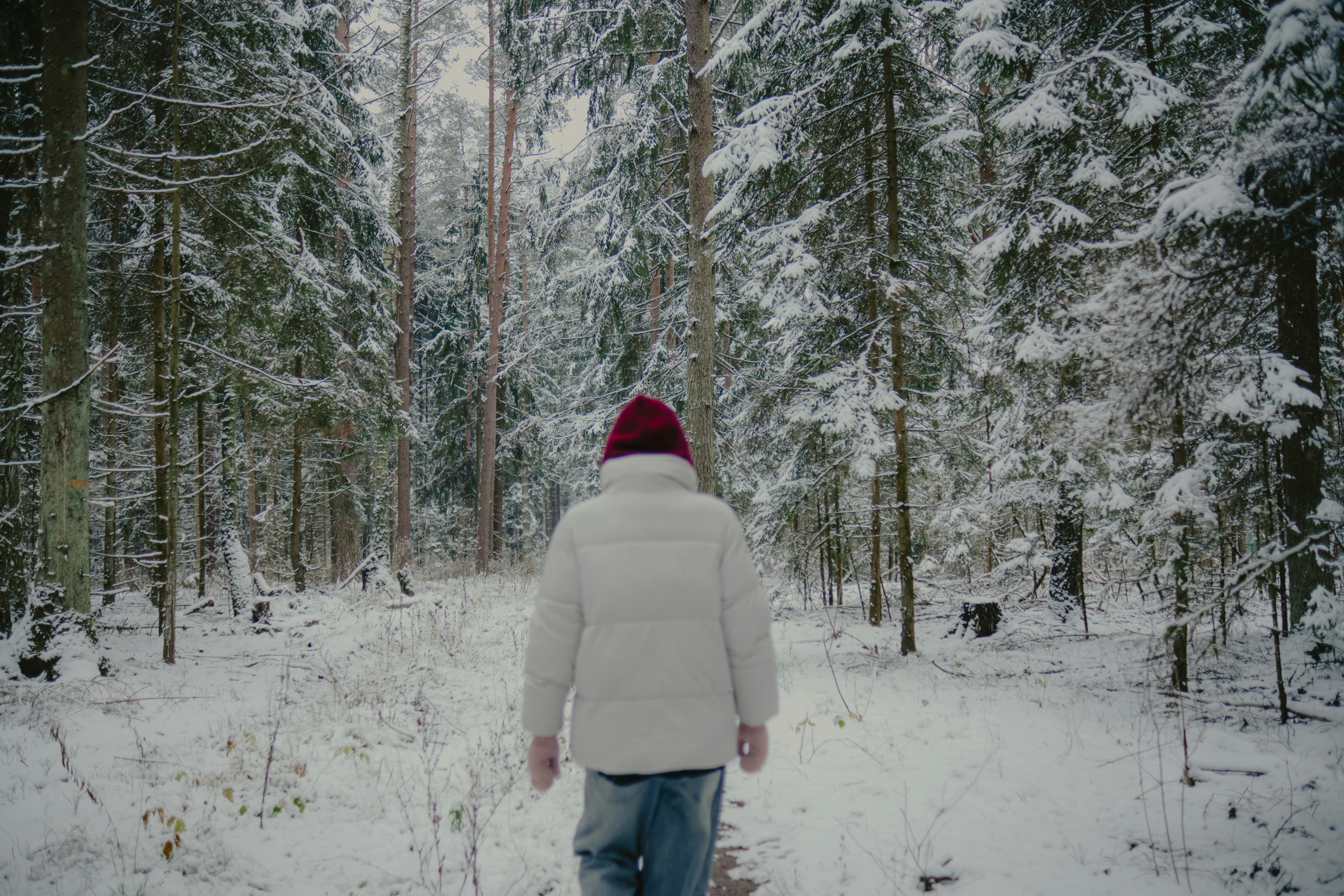 Photo by potokvarte