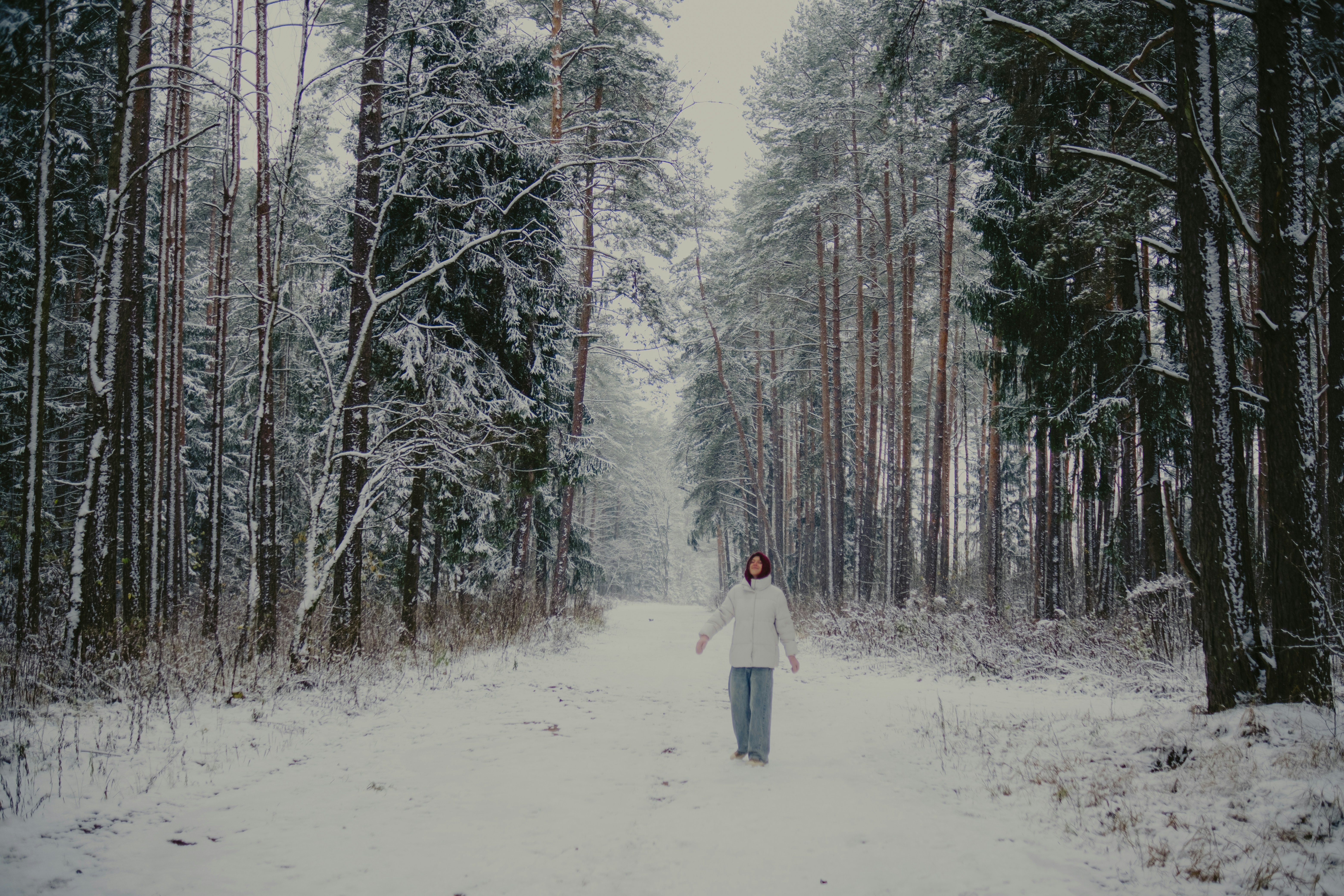 Photo by potokvarte