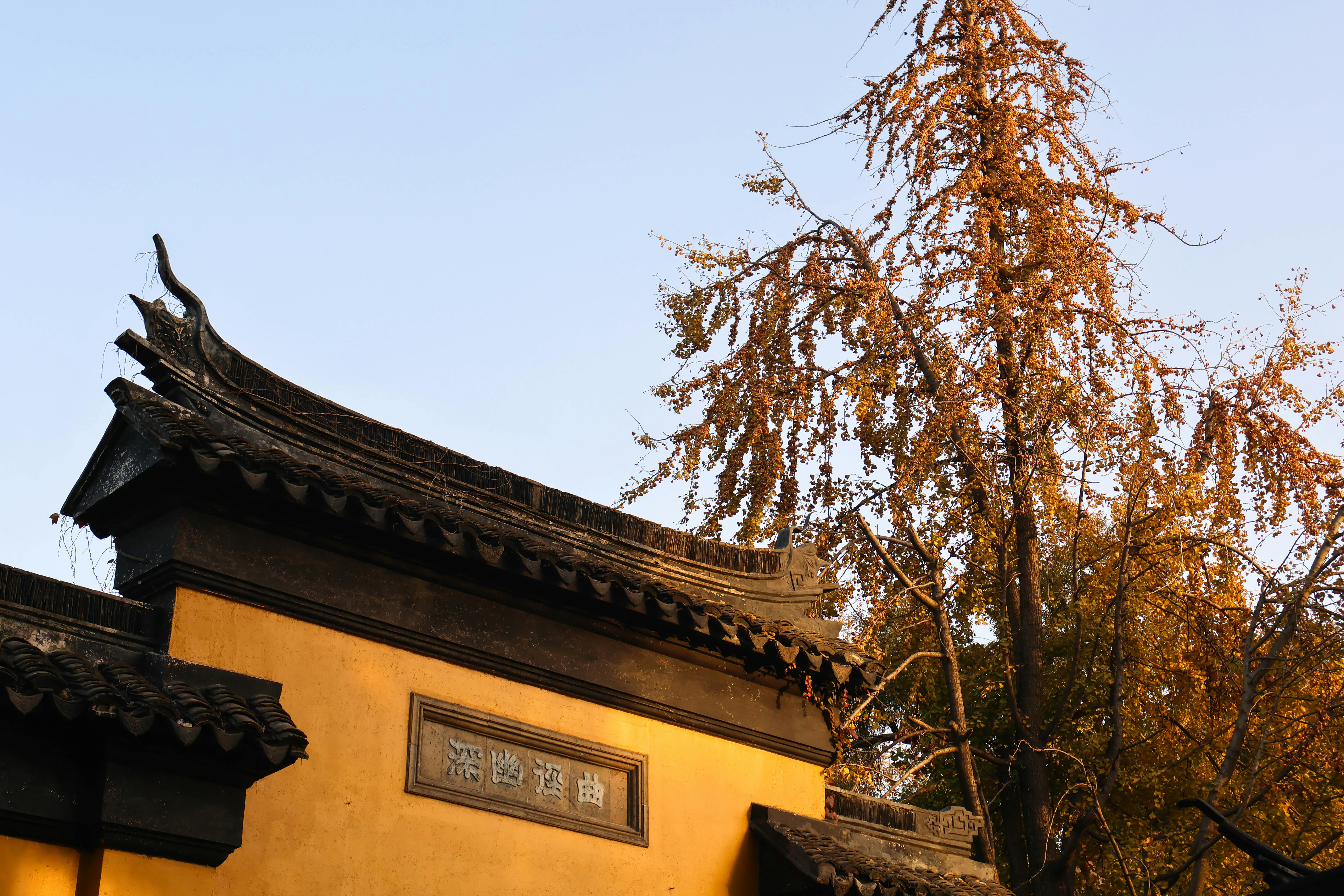 Traditional building with ornate roof and autumn tree