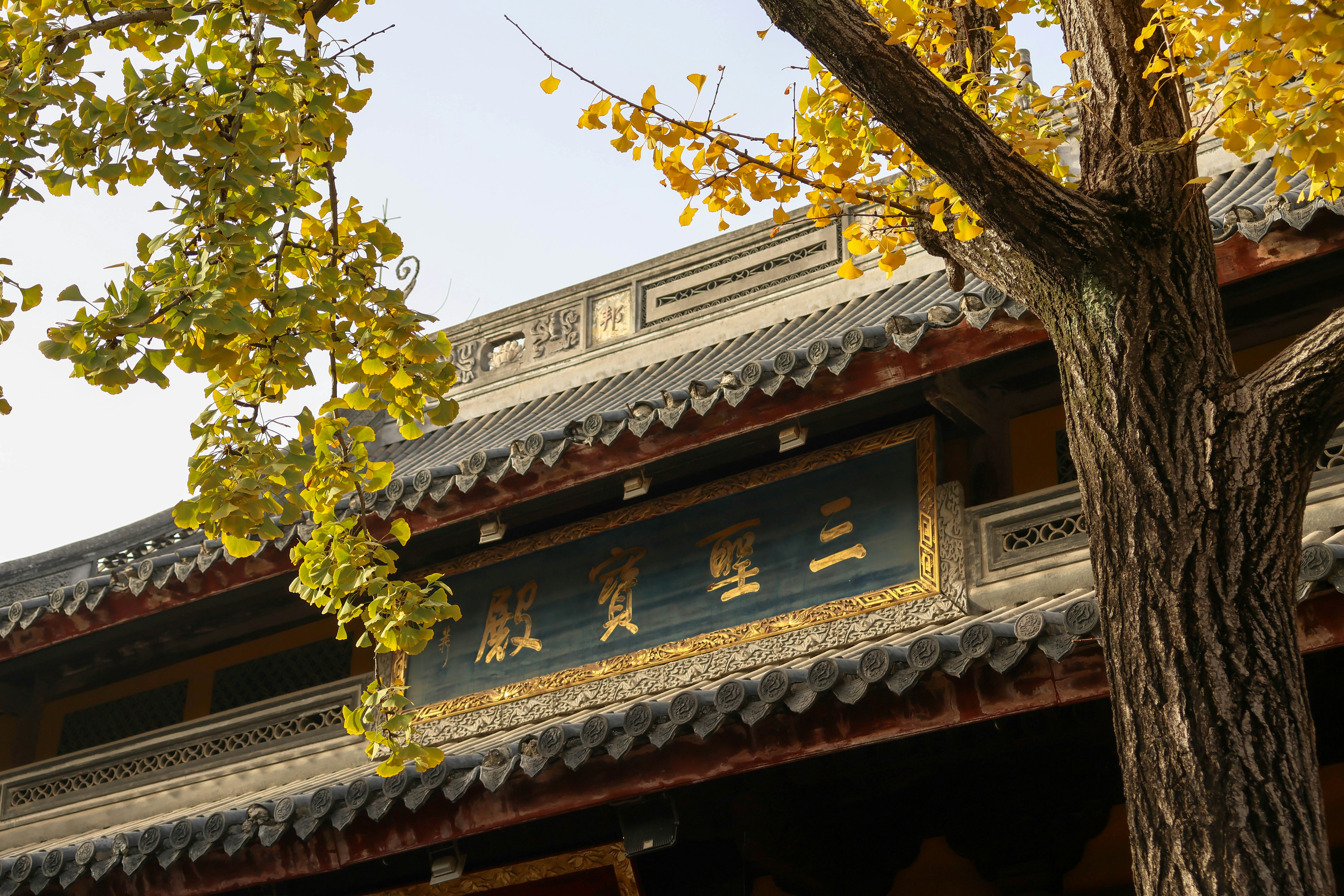 Photo by aleksander_stypczynski