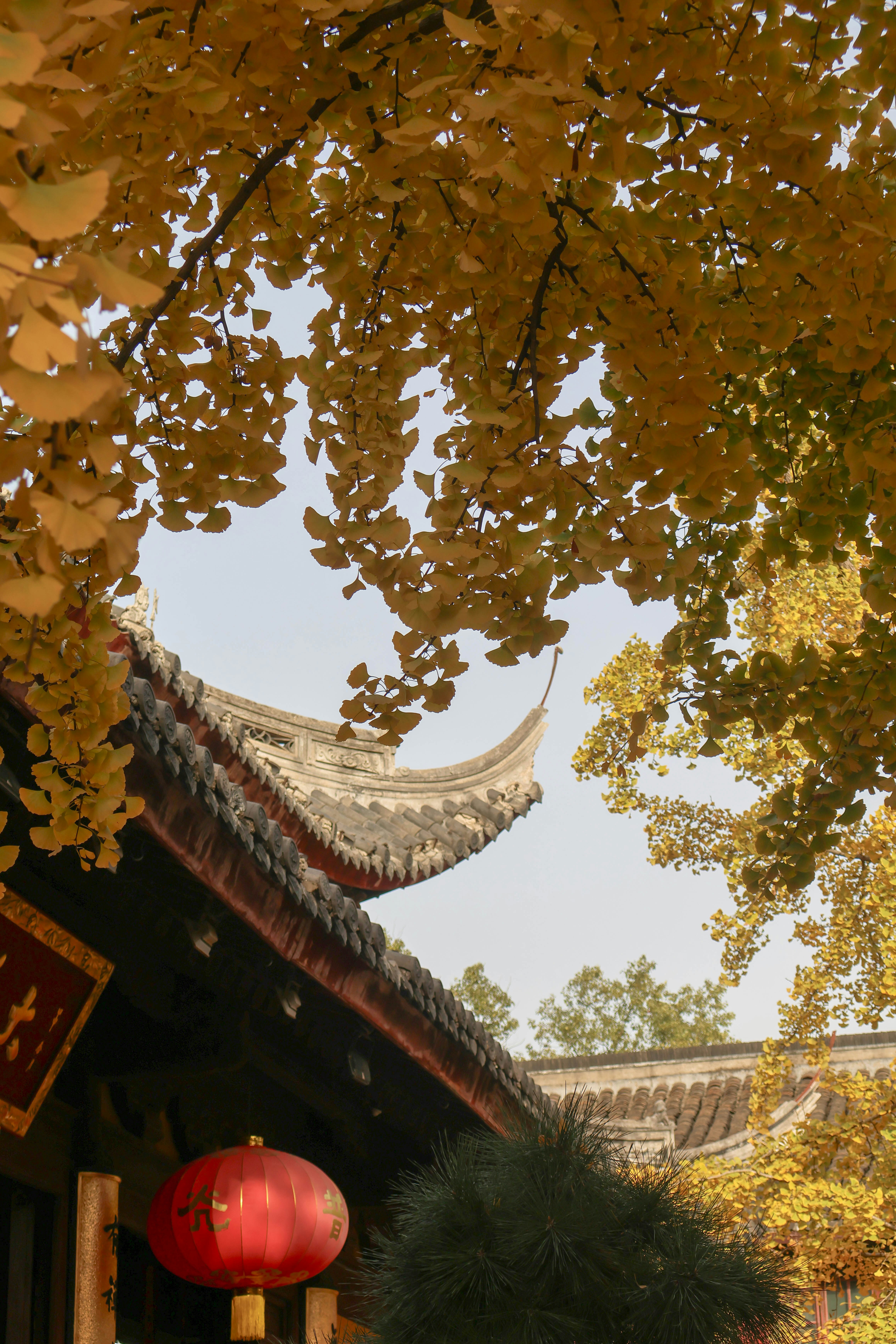 Photo by aleksander_stypczynski