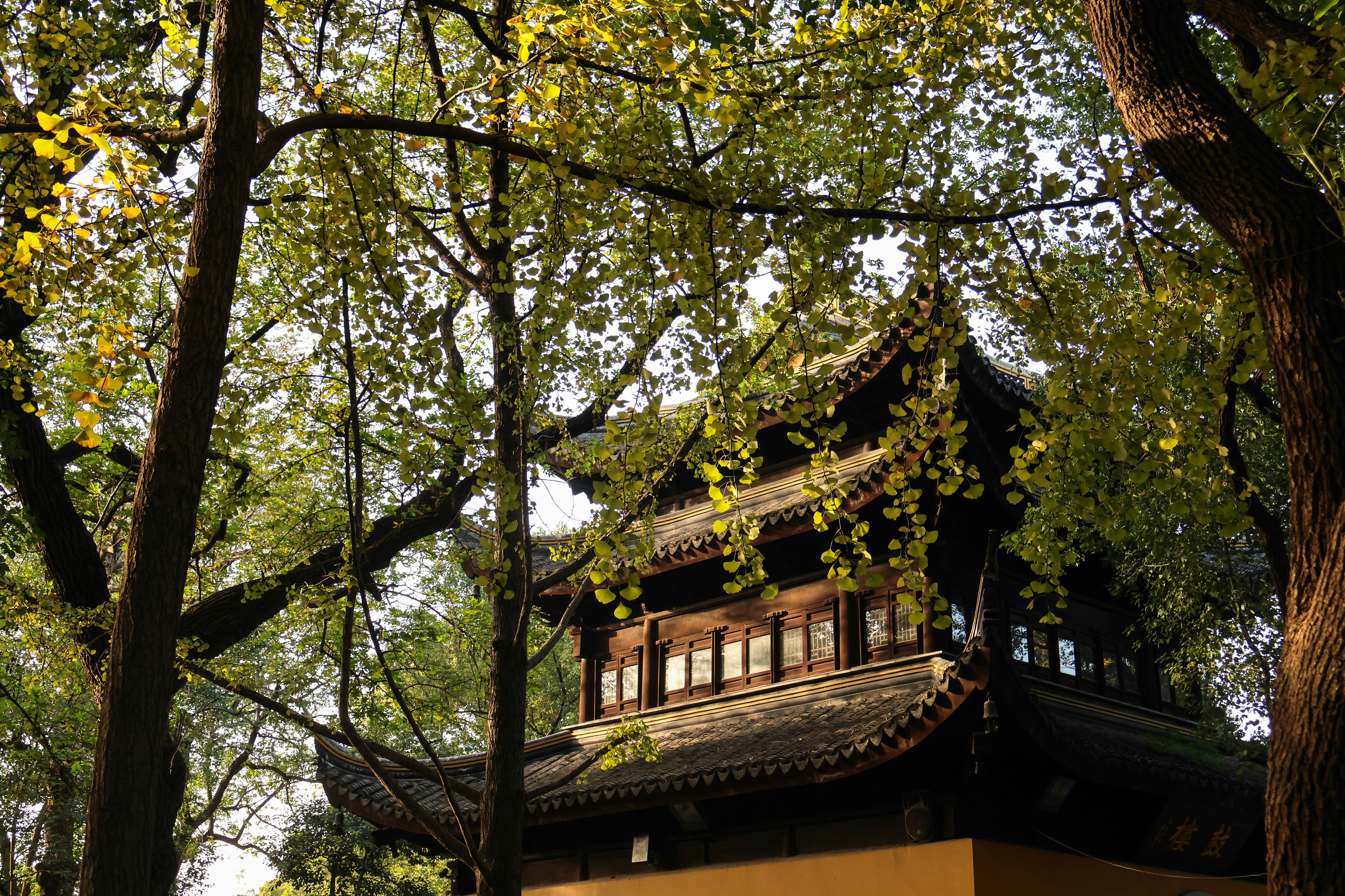 Photo by aleksander_stypczynski