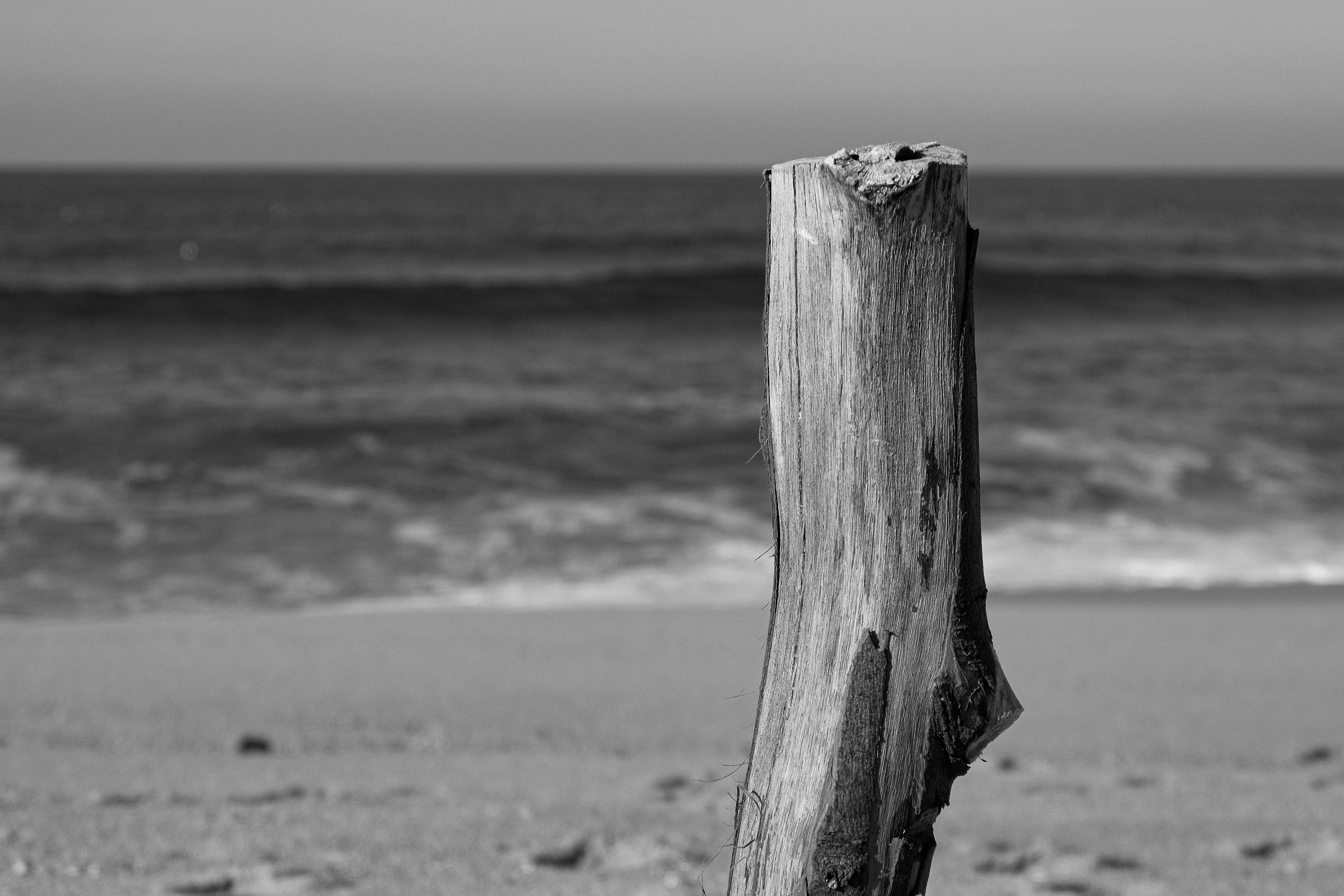 Photo by nachoswithacamera