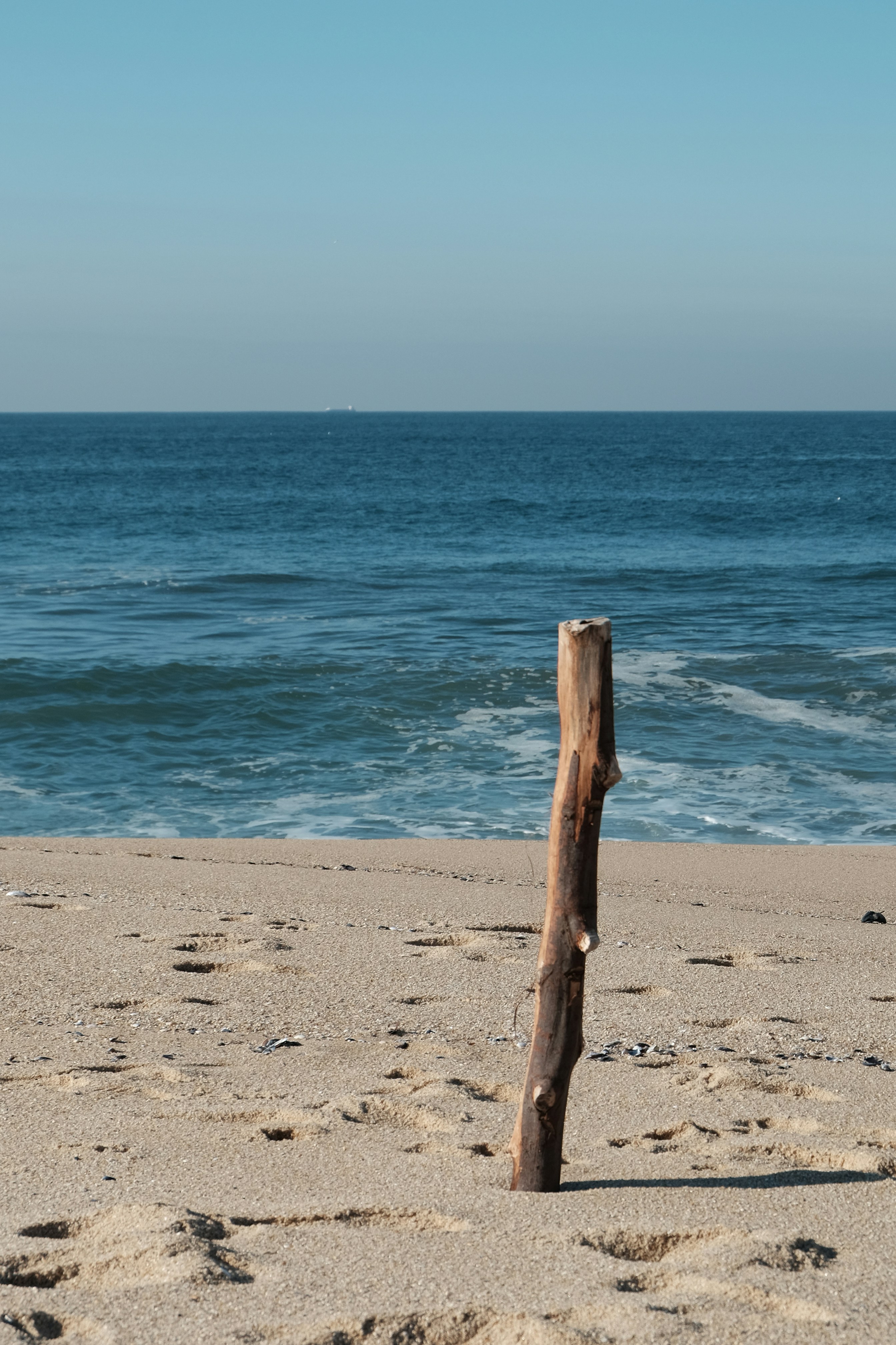 Photo by nachoswithacamera