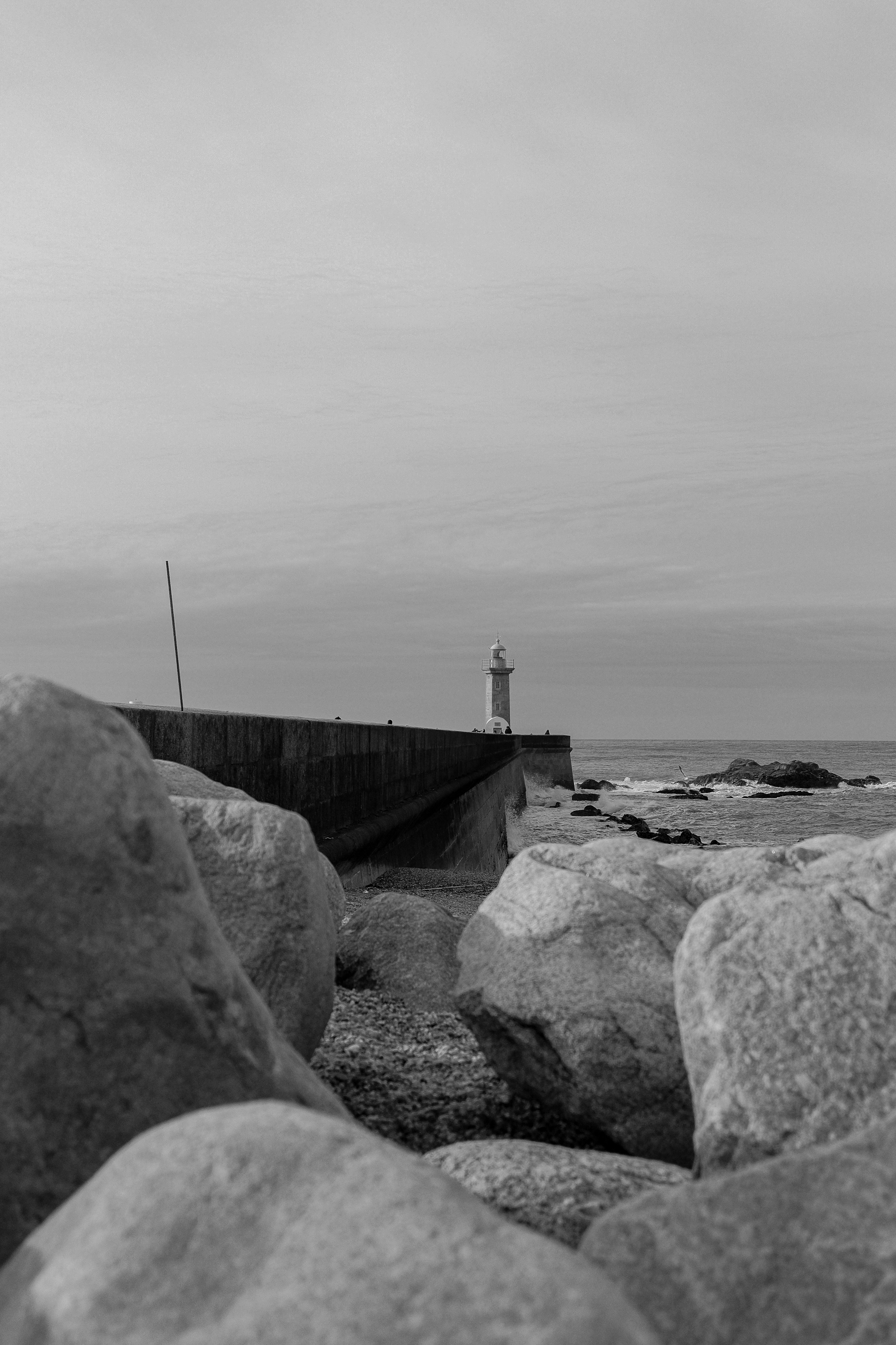 Photo by nachoswithacamera