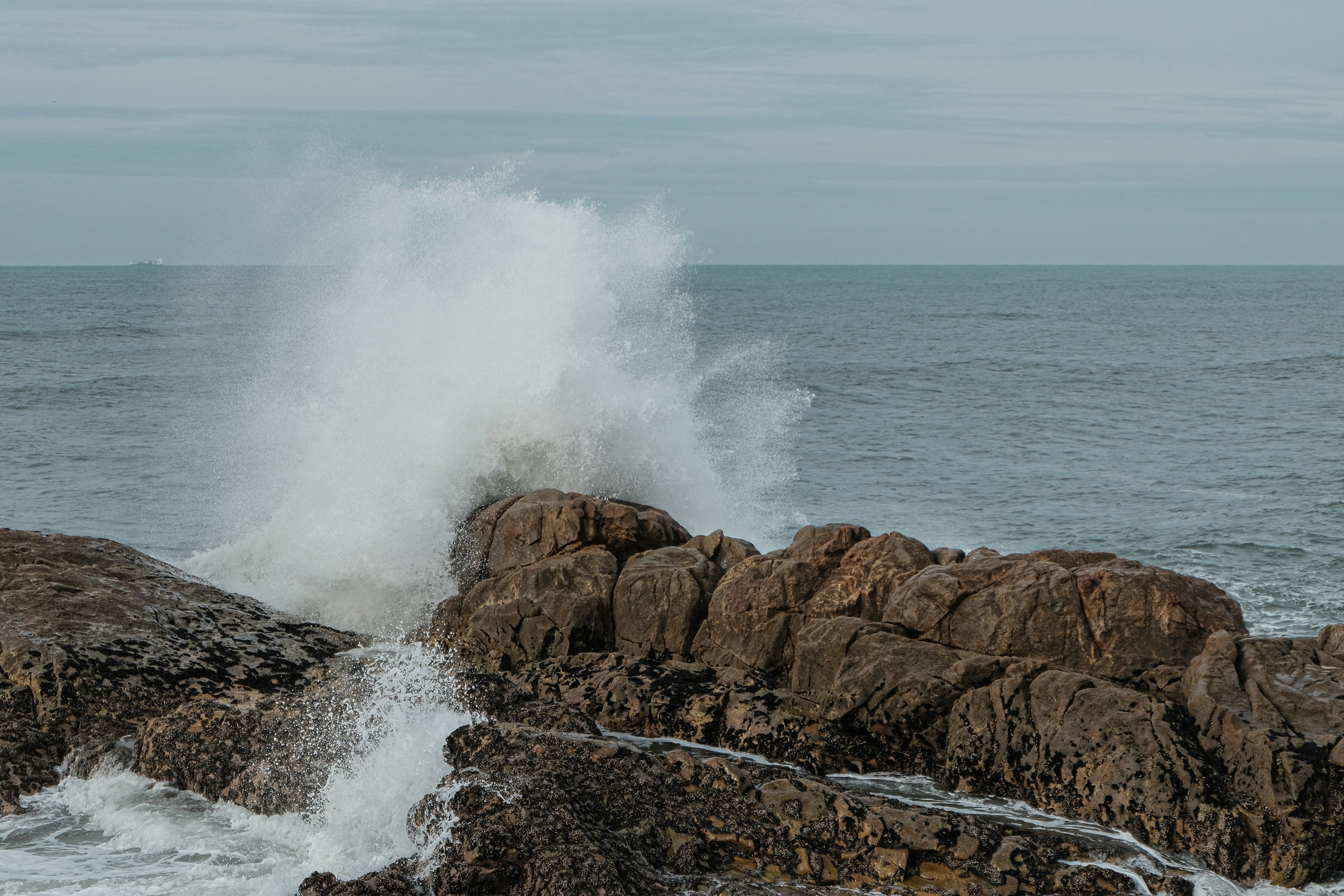 Photo by nachoswithacamera