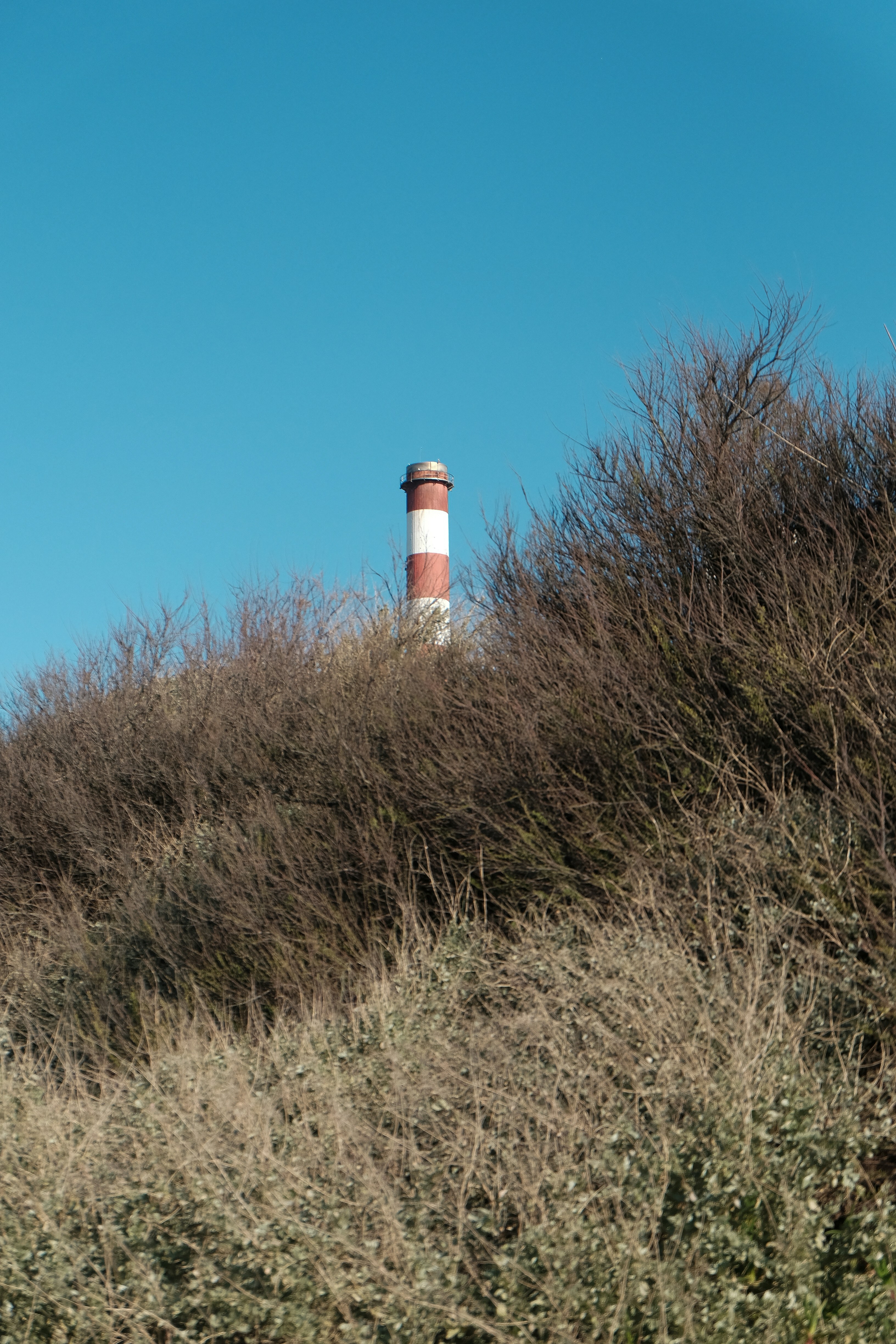 Photo by nachoswithacamera