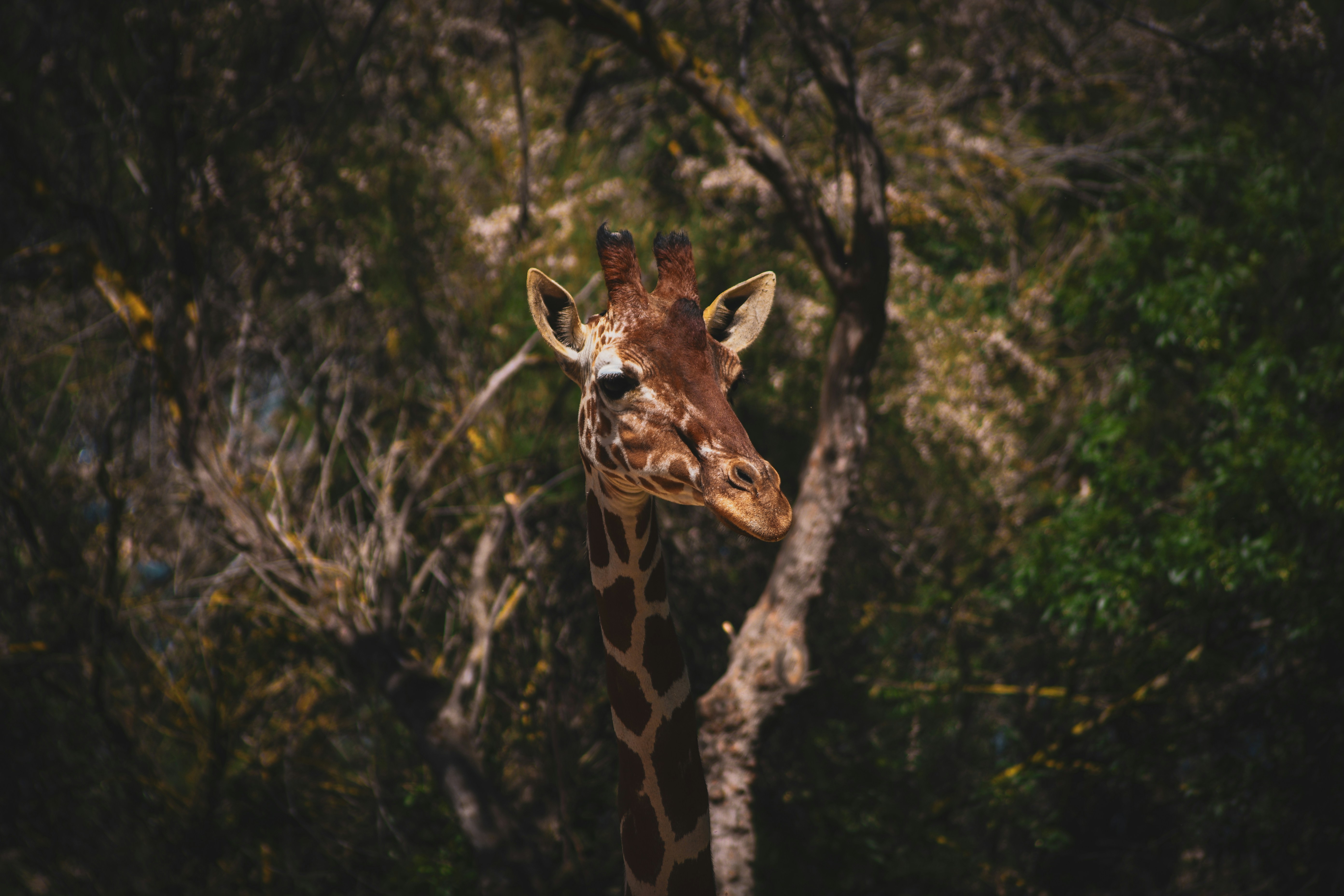 Photo by baptiste_rgnr