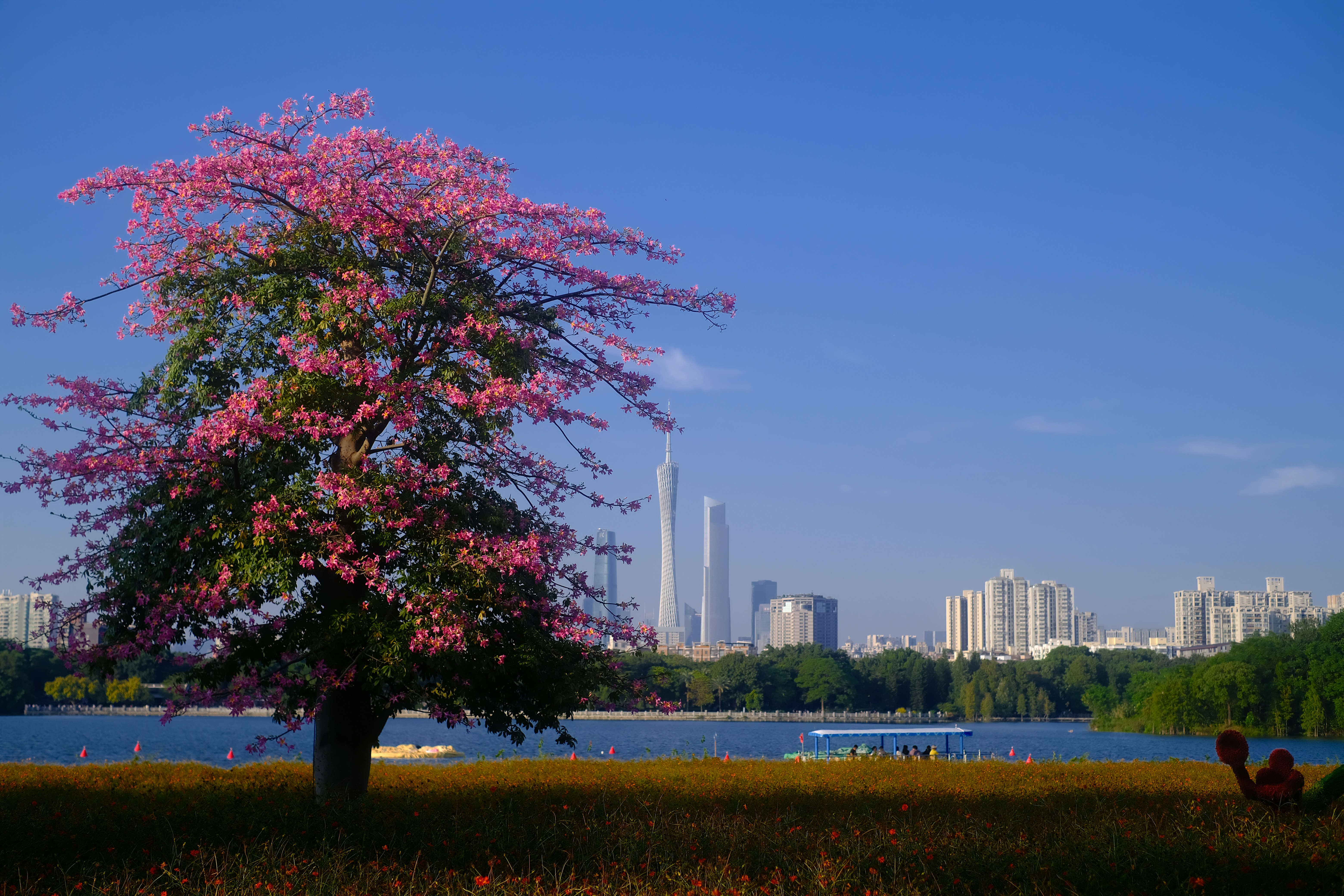 Blooming tree with city skyline and lake