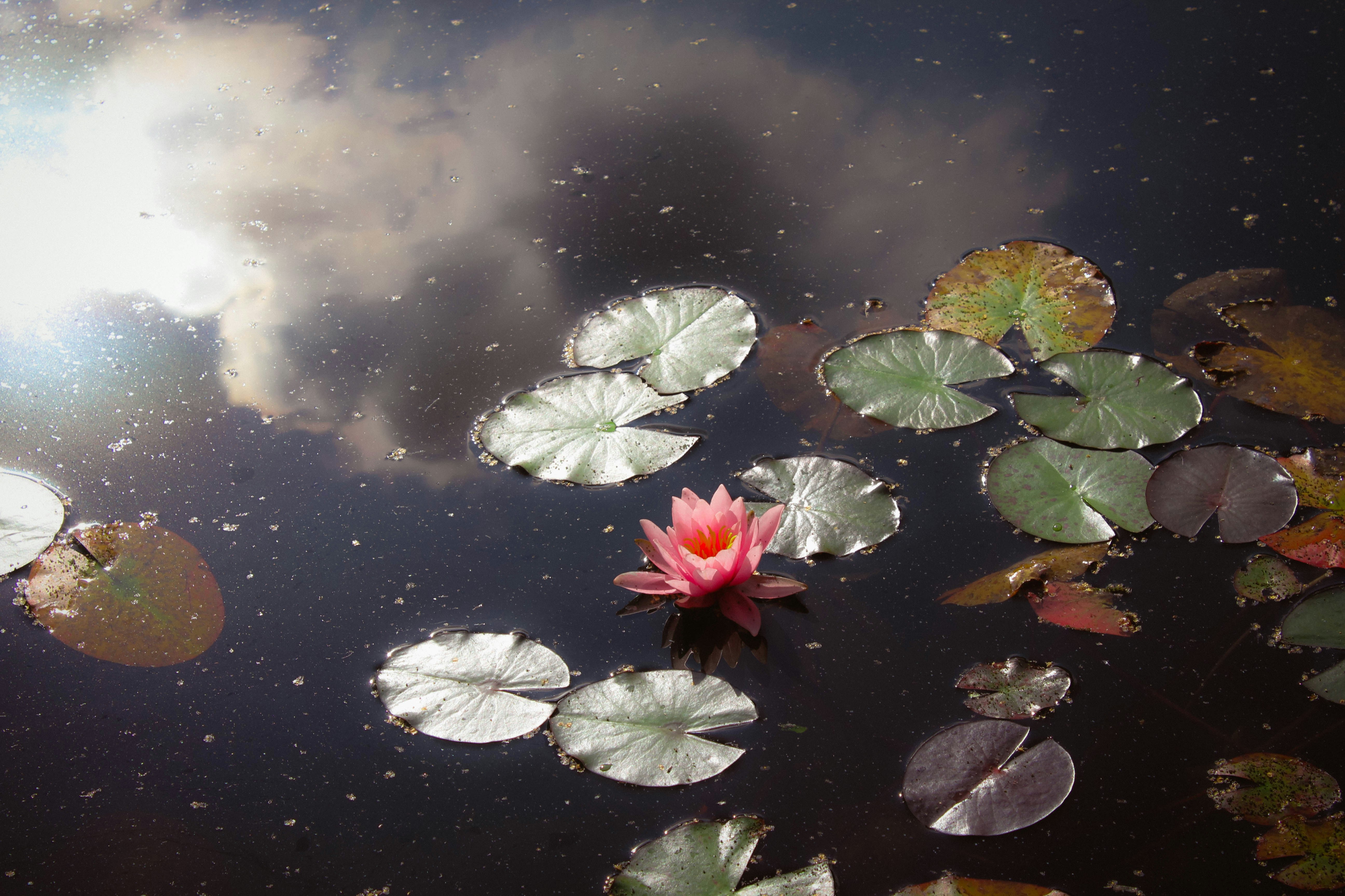 Photo by annagelibterman