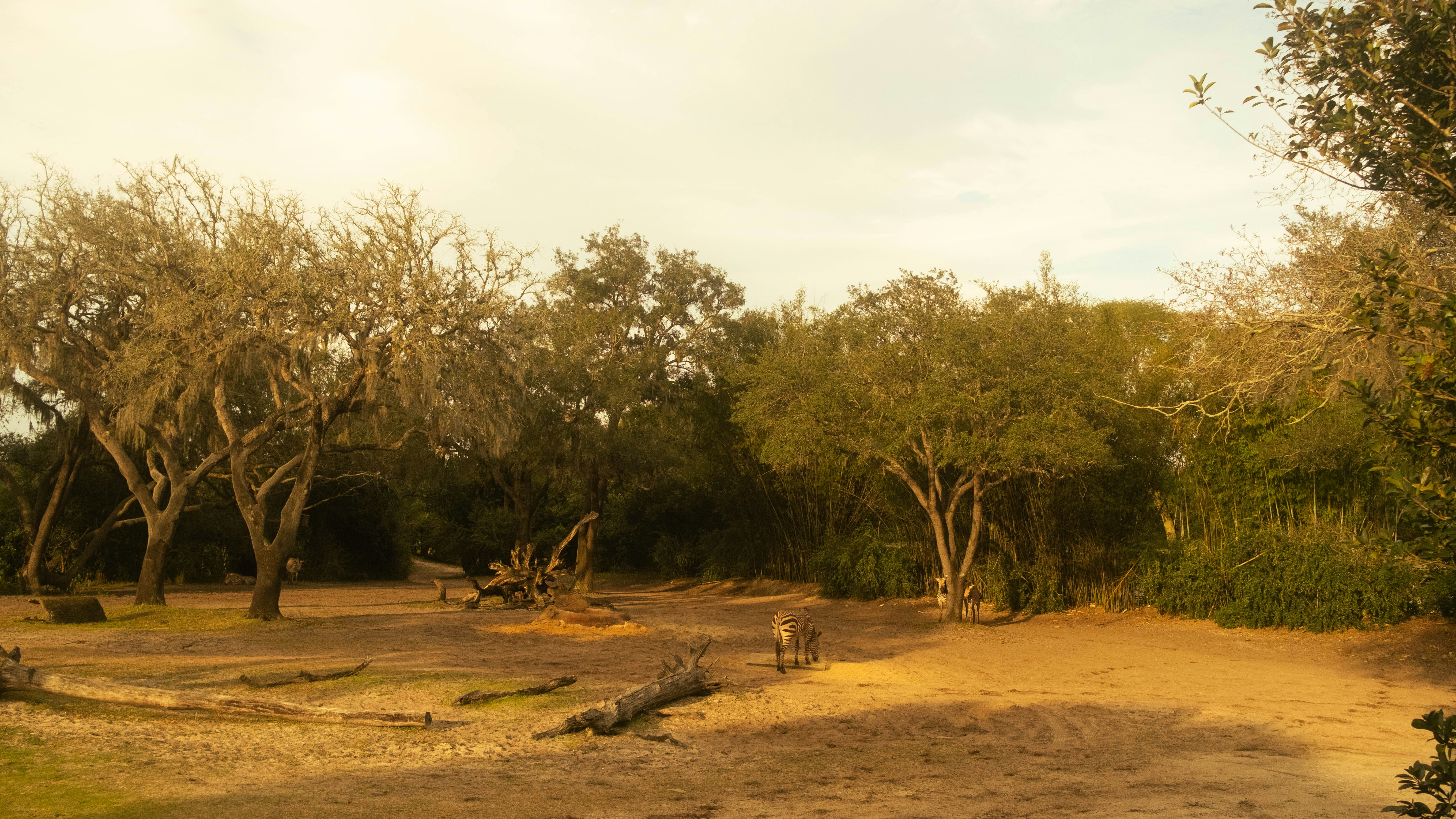 Photo by thejustinhall